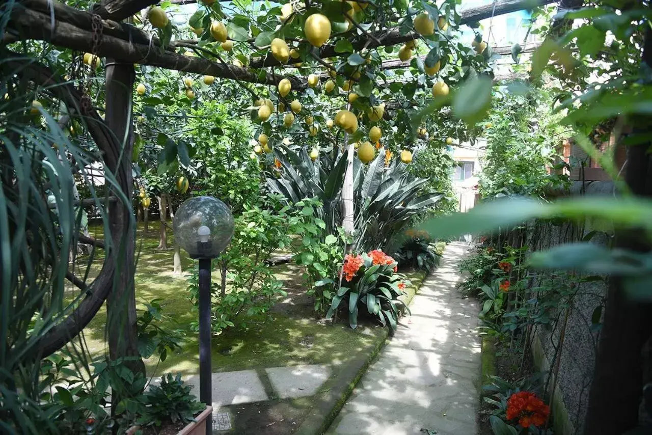 Garden in Anthea Sorrento