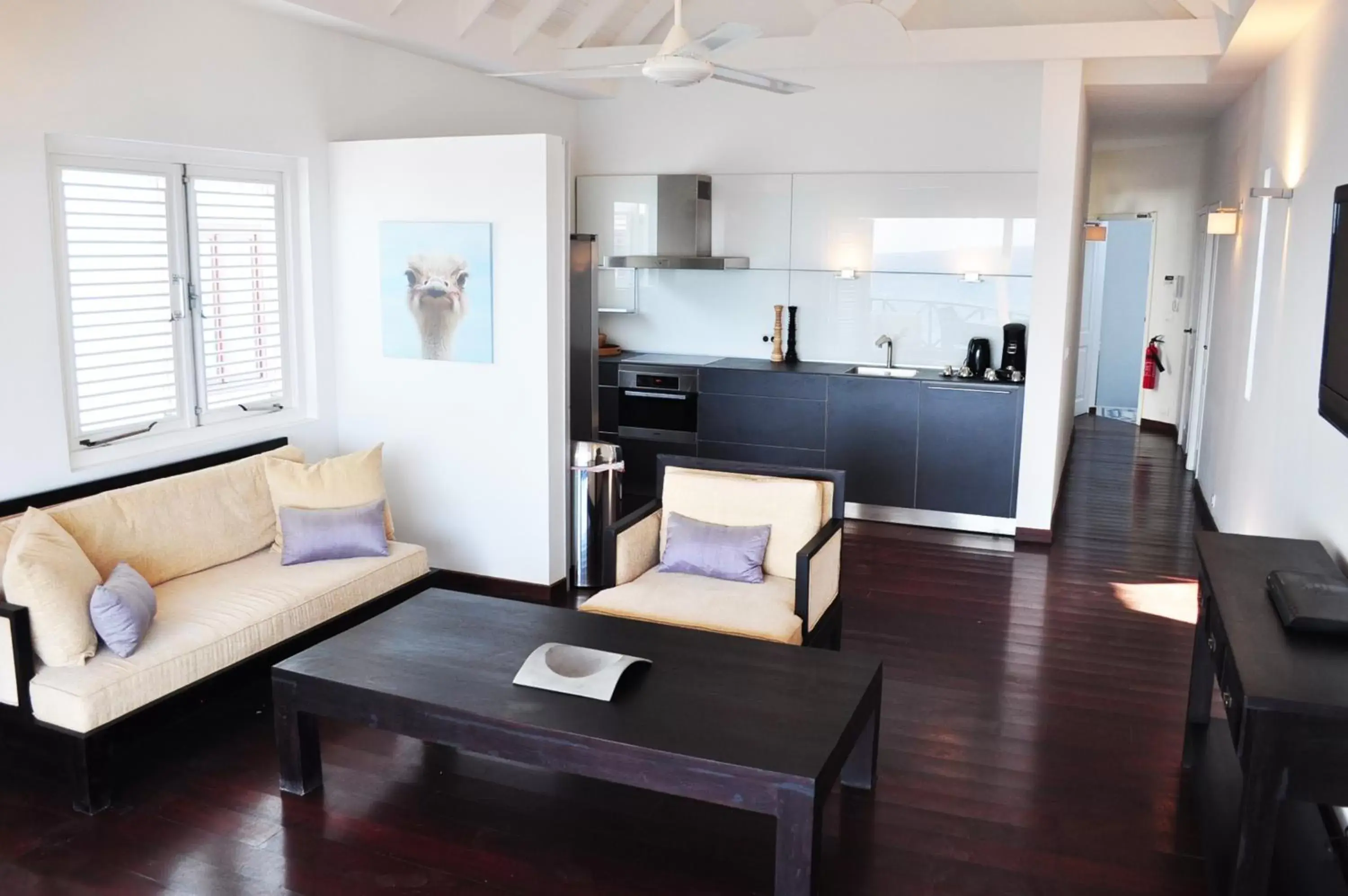 Kitchen or kitchenette, Seating Area in Scuba Lodge & Suites