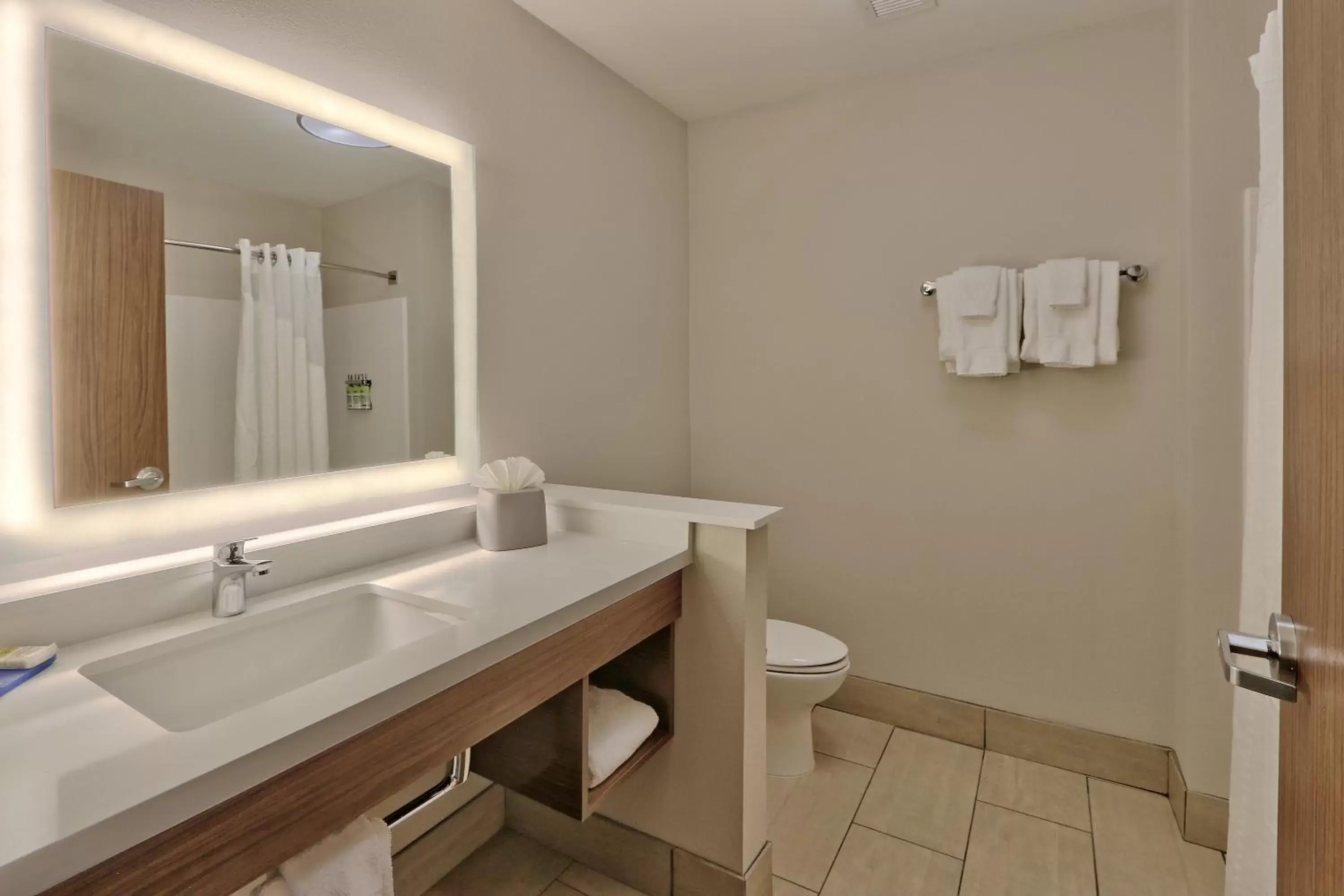 Photo of the whole room, Bathroom in Holiday Inn Express & Suites - Albuquerque East, an IHG Hotel