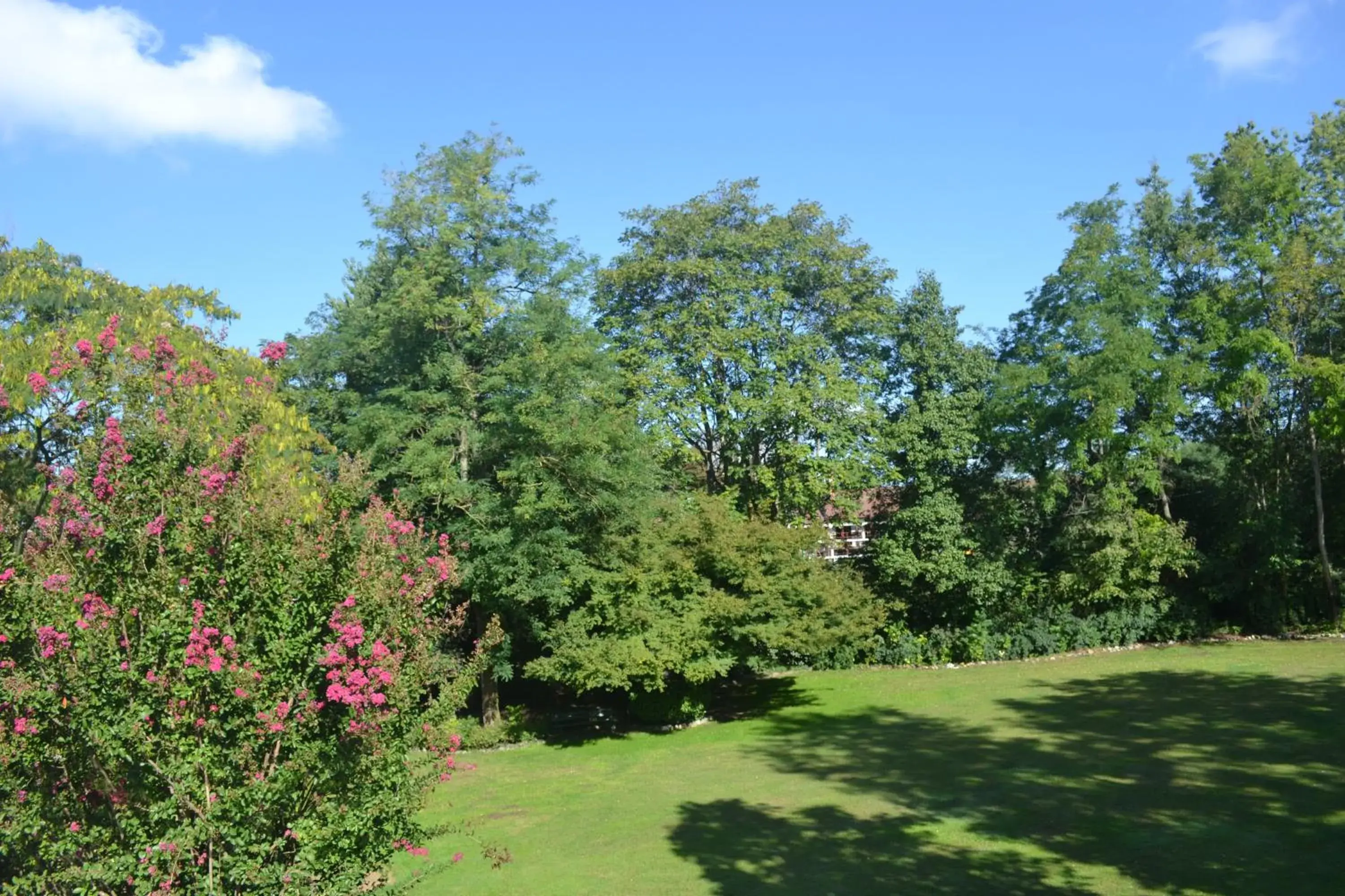 Day, Garden in Cascina Scova Resort