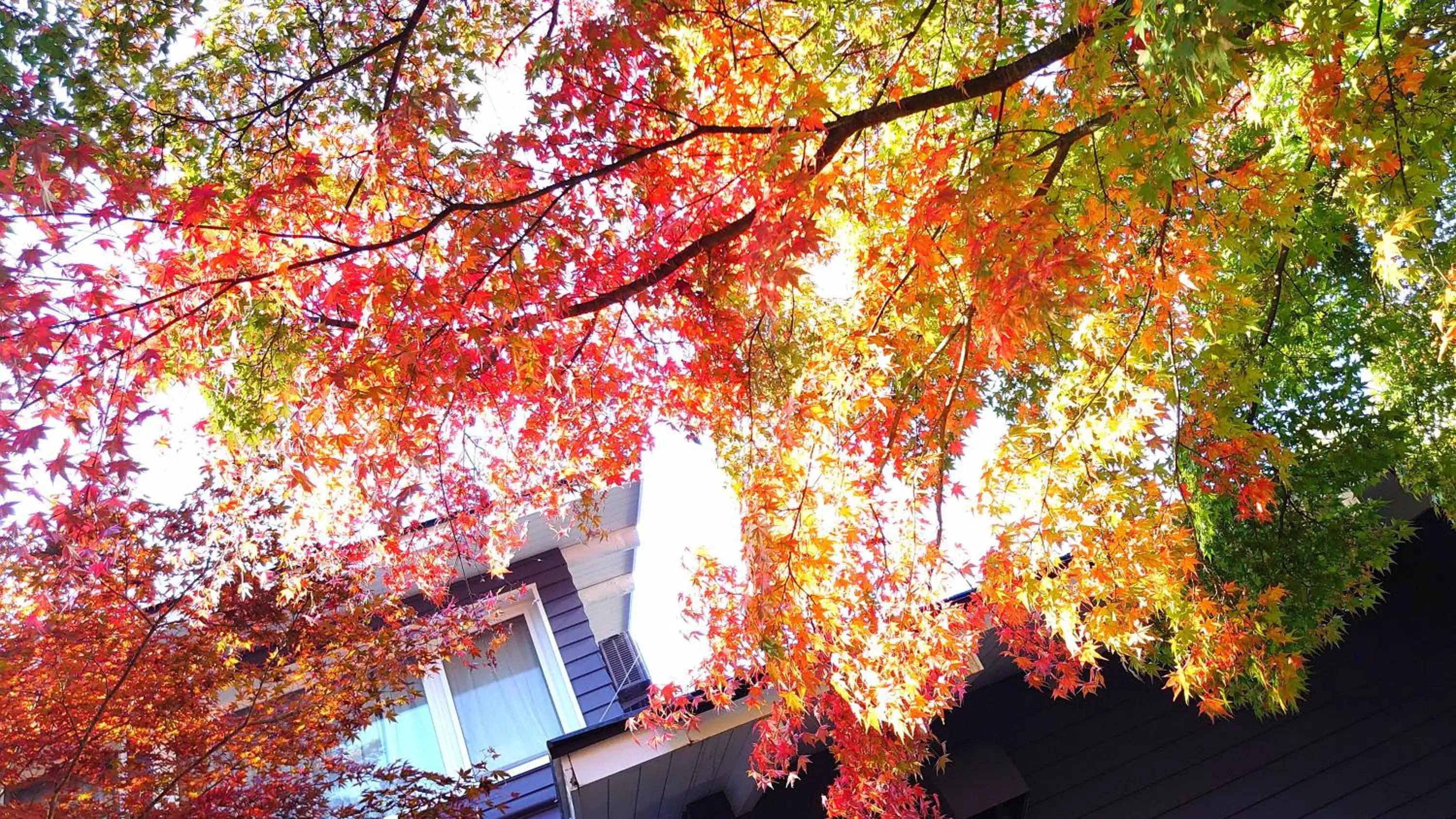 Facade/entrance in Kyu-Karuizawa Hotel Shinonome