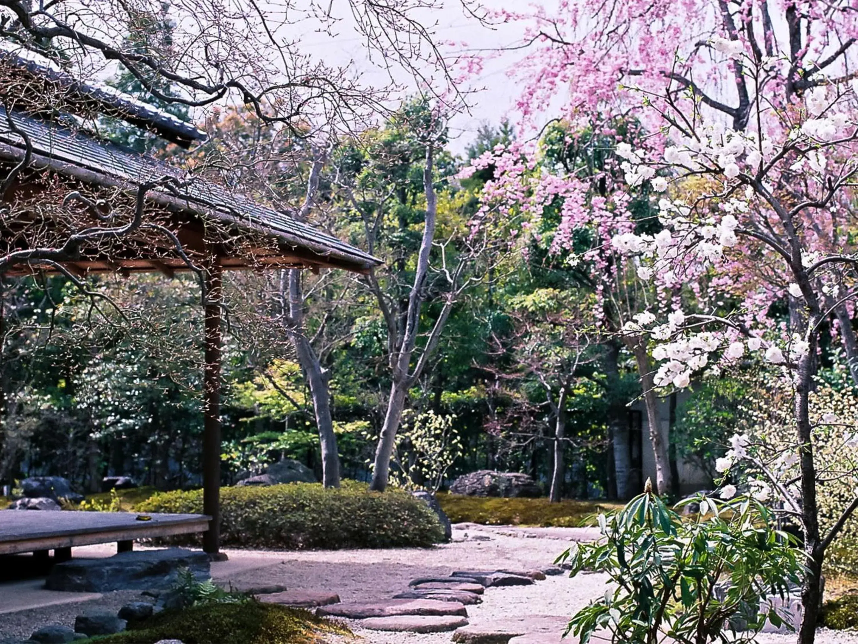 Garden view, Garden in Ryokan Genhouin