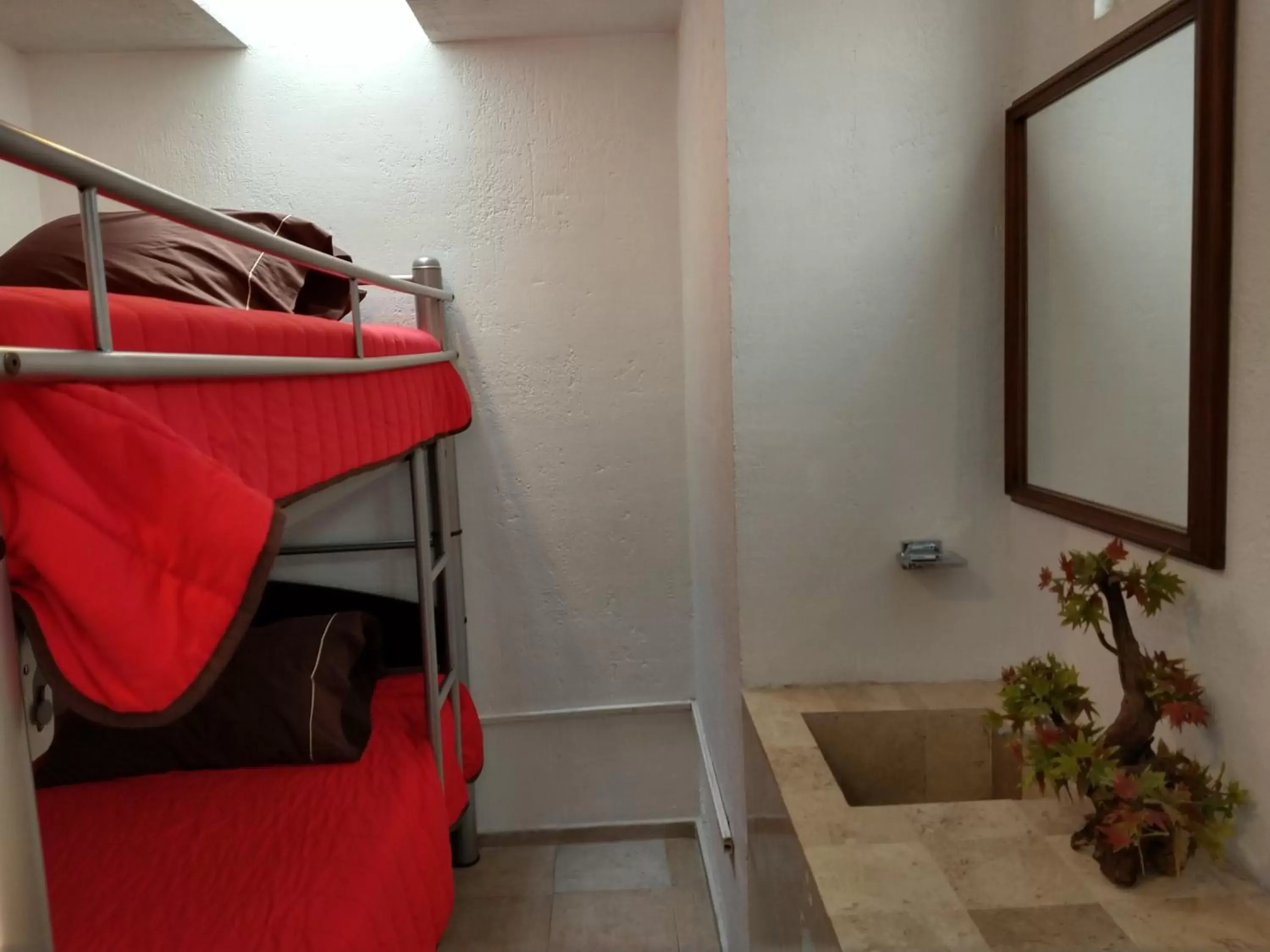 Bunk Bed in Residence Las Trojes Cdmx