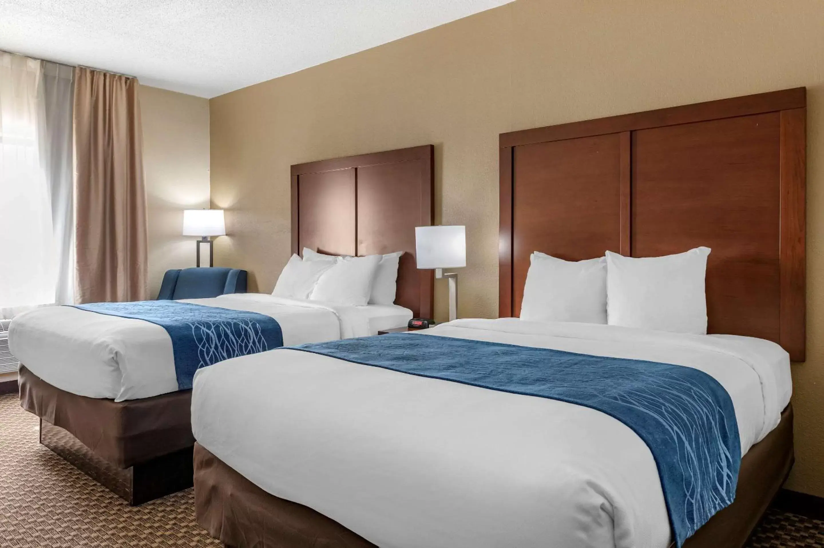 Photo of the whole room, Bed in Comfort Inn Near Kokomo Speedway