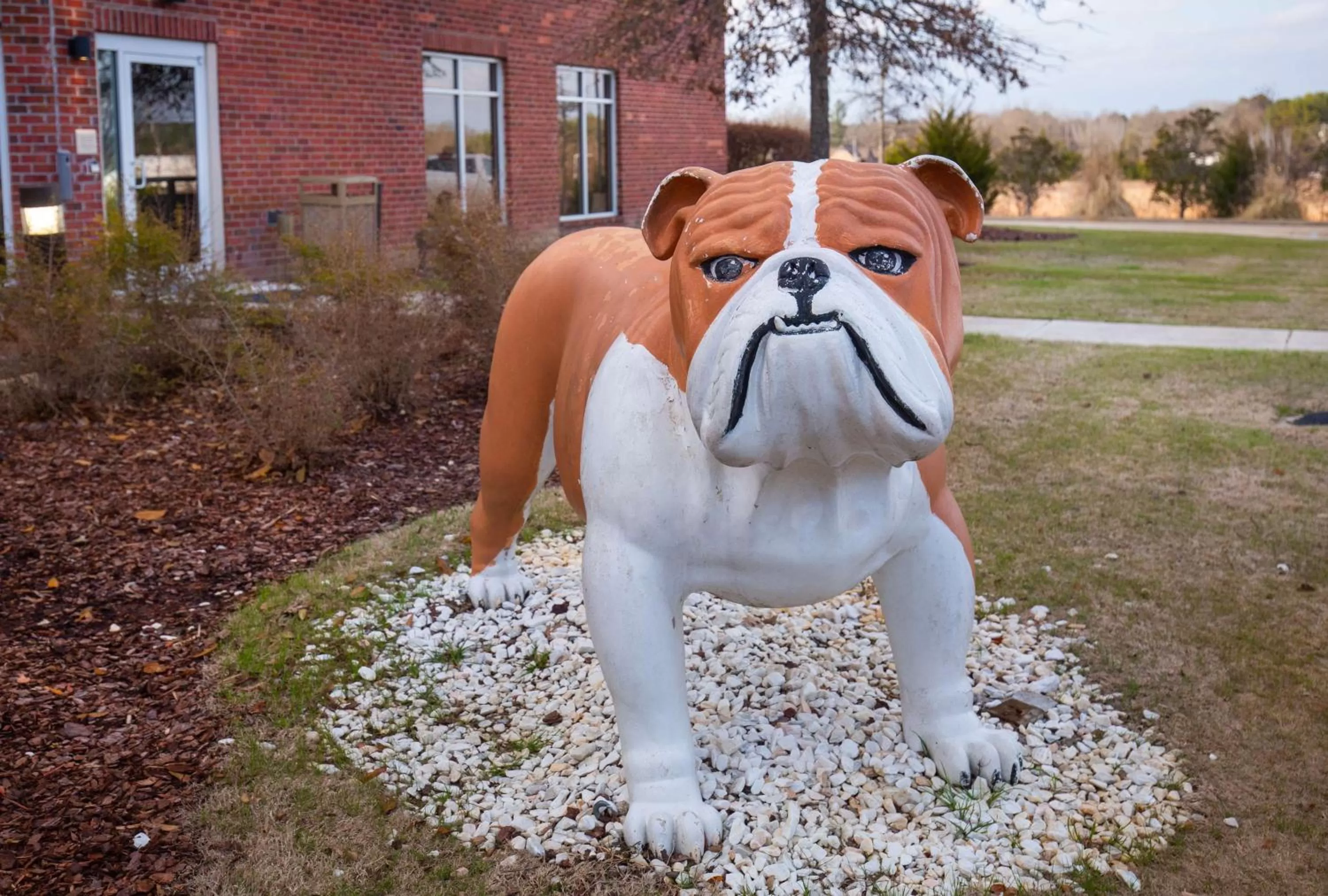 Property building in Hilton Garden Inn Starkville