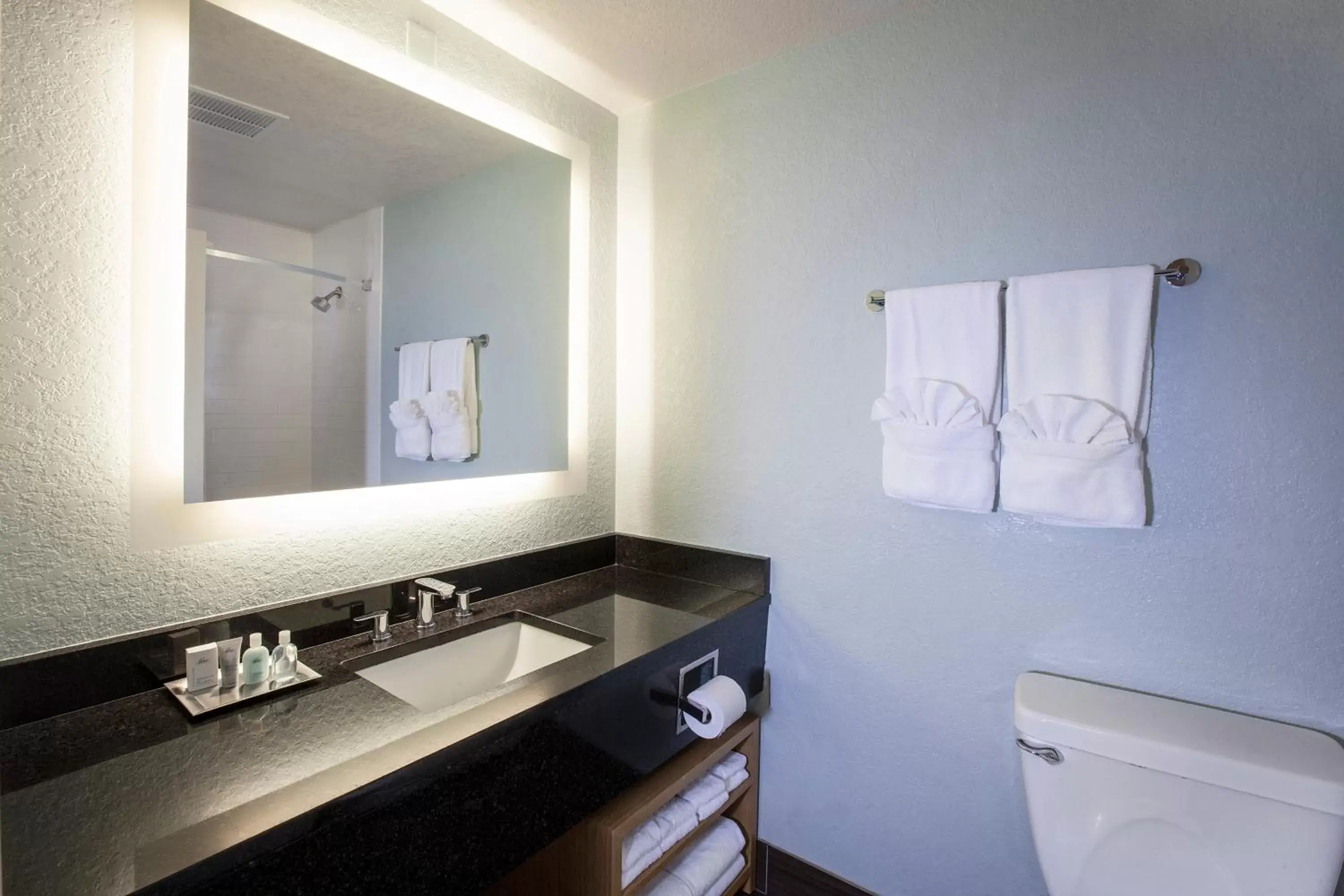 Bathroom, Kitchen/Kitchenette in Wyndham Orlando Resort International Drive