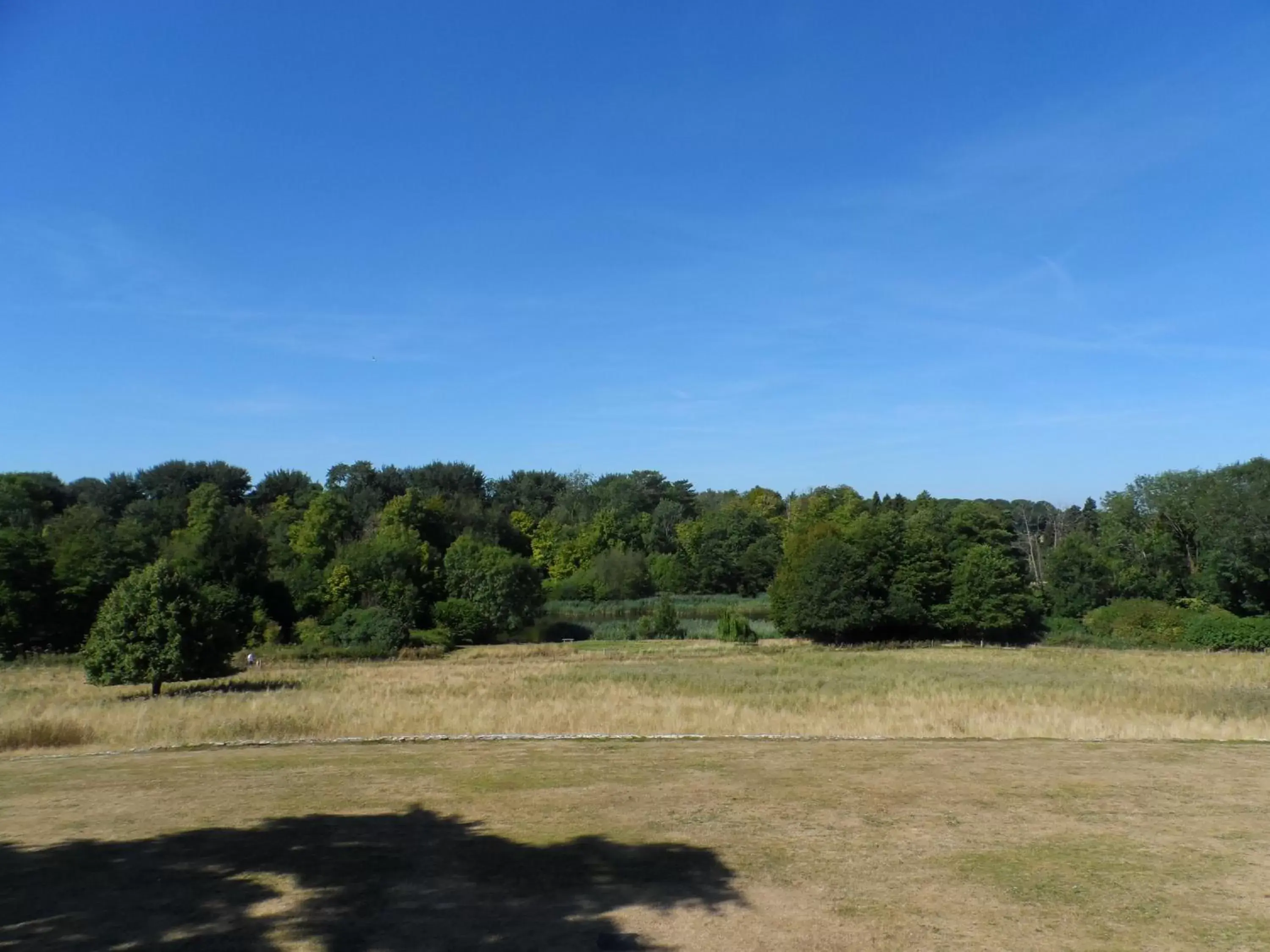 Natural landscape in Stanton House Hotel