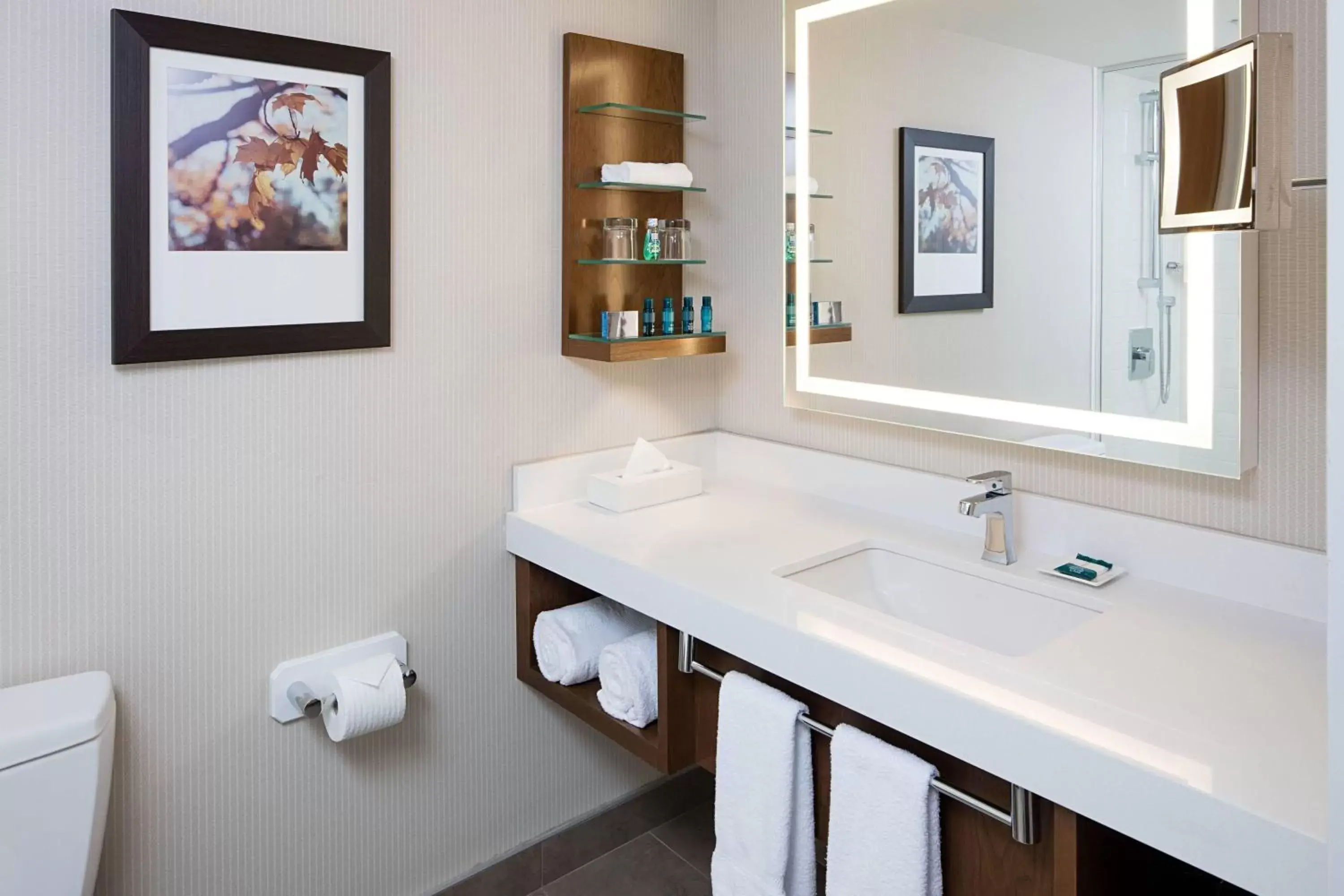 Photo of the whole room, Bathroom in Delta Hotels by Marriott Calgary South