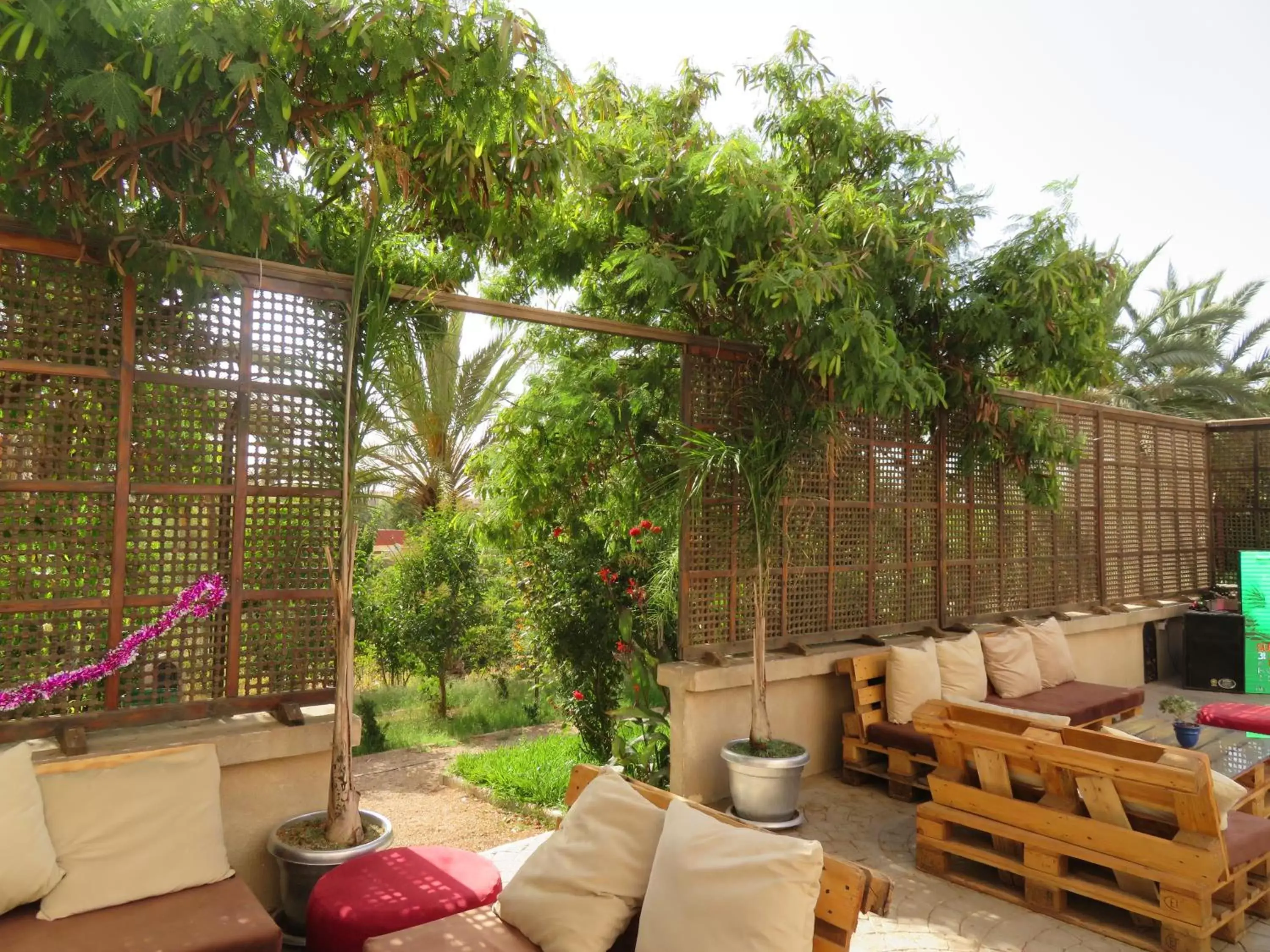 Patio in ibis Tlemcen