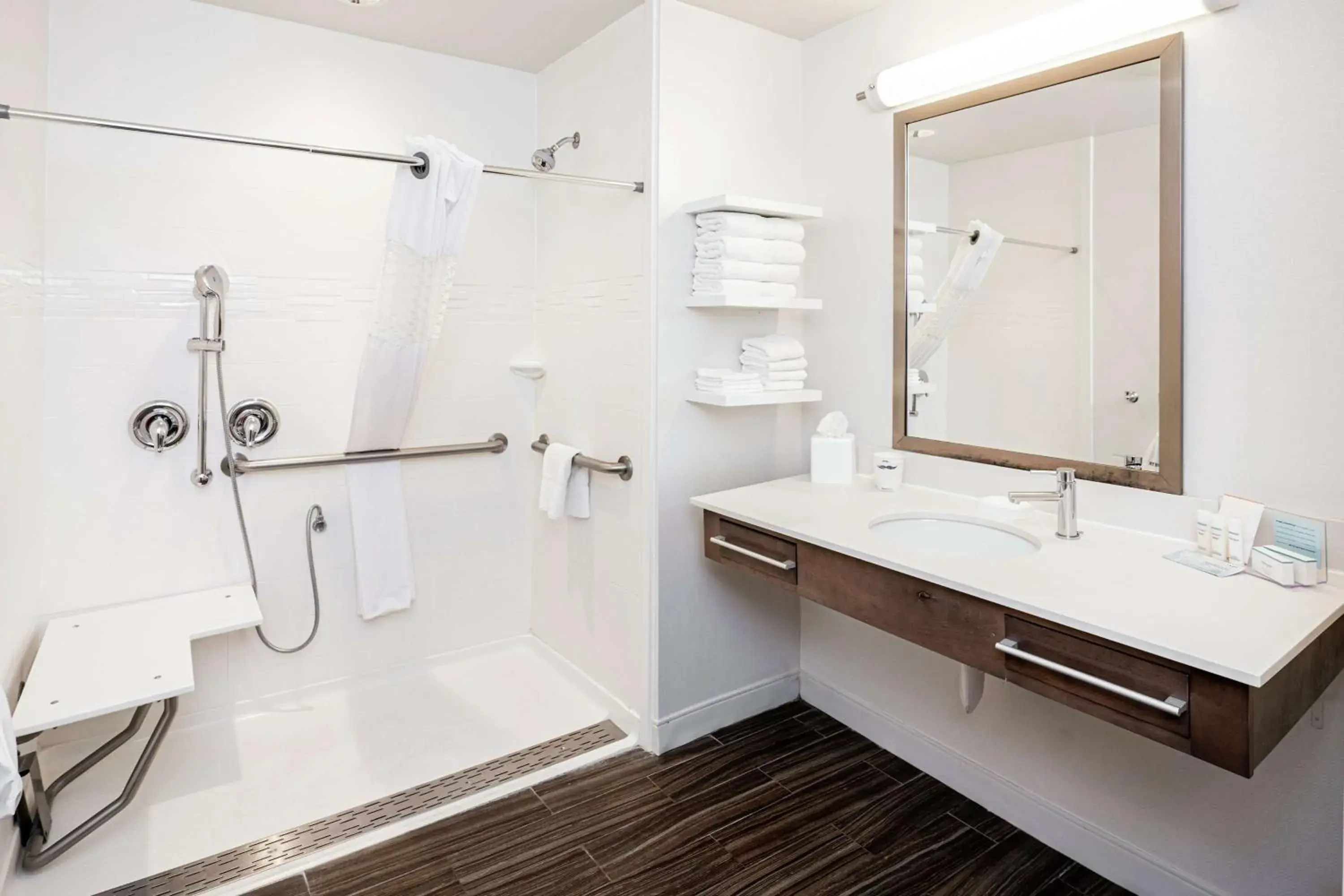 Bathroom in Hampton Inn and Suites Georgetown/Austin North, TX