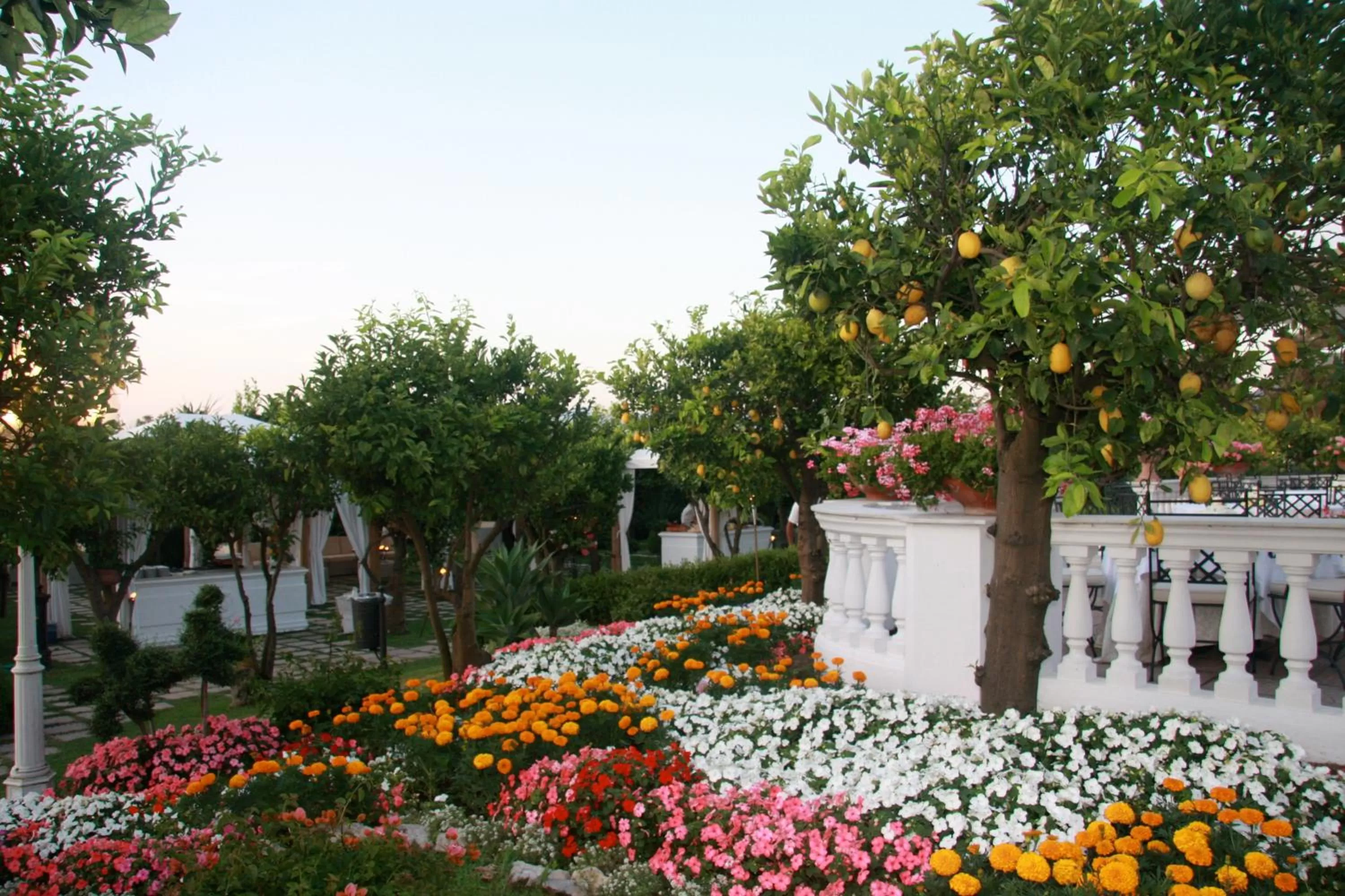 Garden in La Medusa Hotel - Dimora di Charme