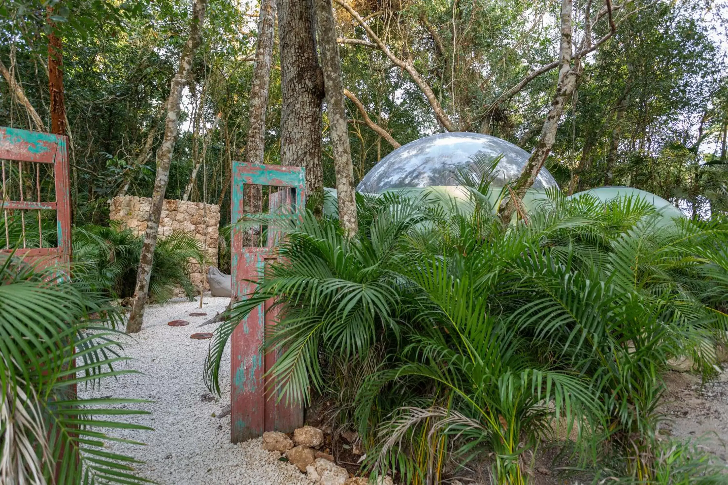 Garden in Oom Bubble Boutique Riviera Cancun