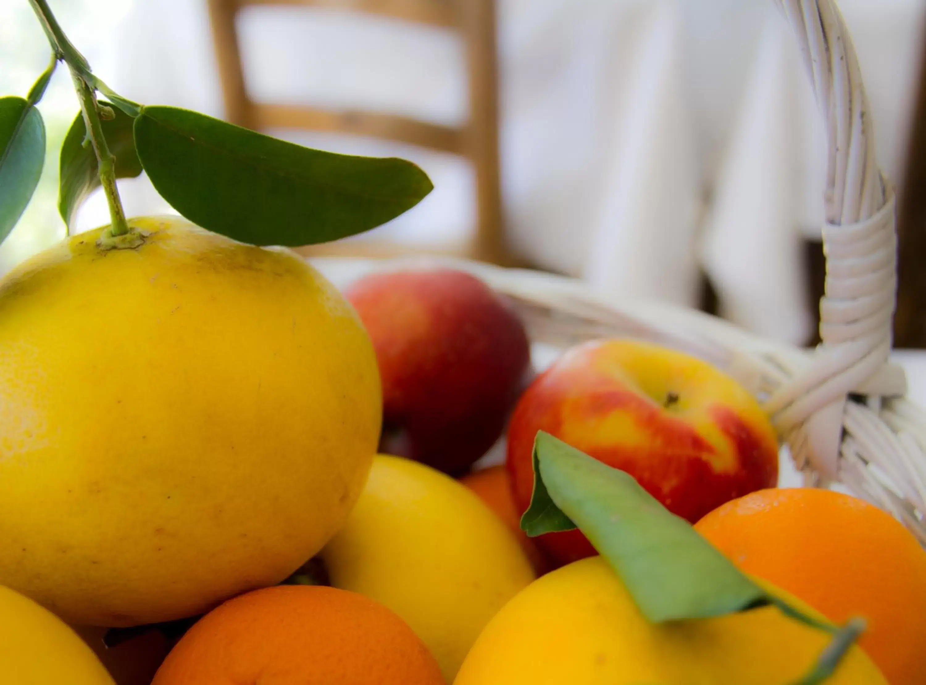 Food in Hotel les Vergers de Saint Paul