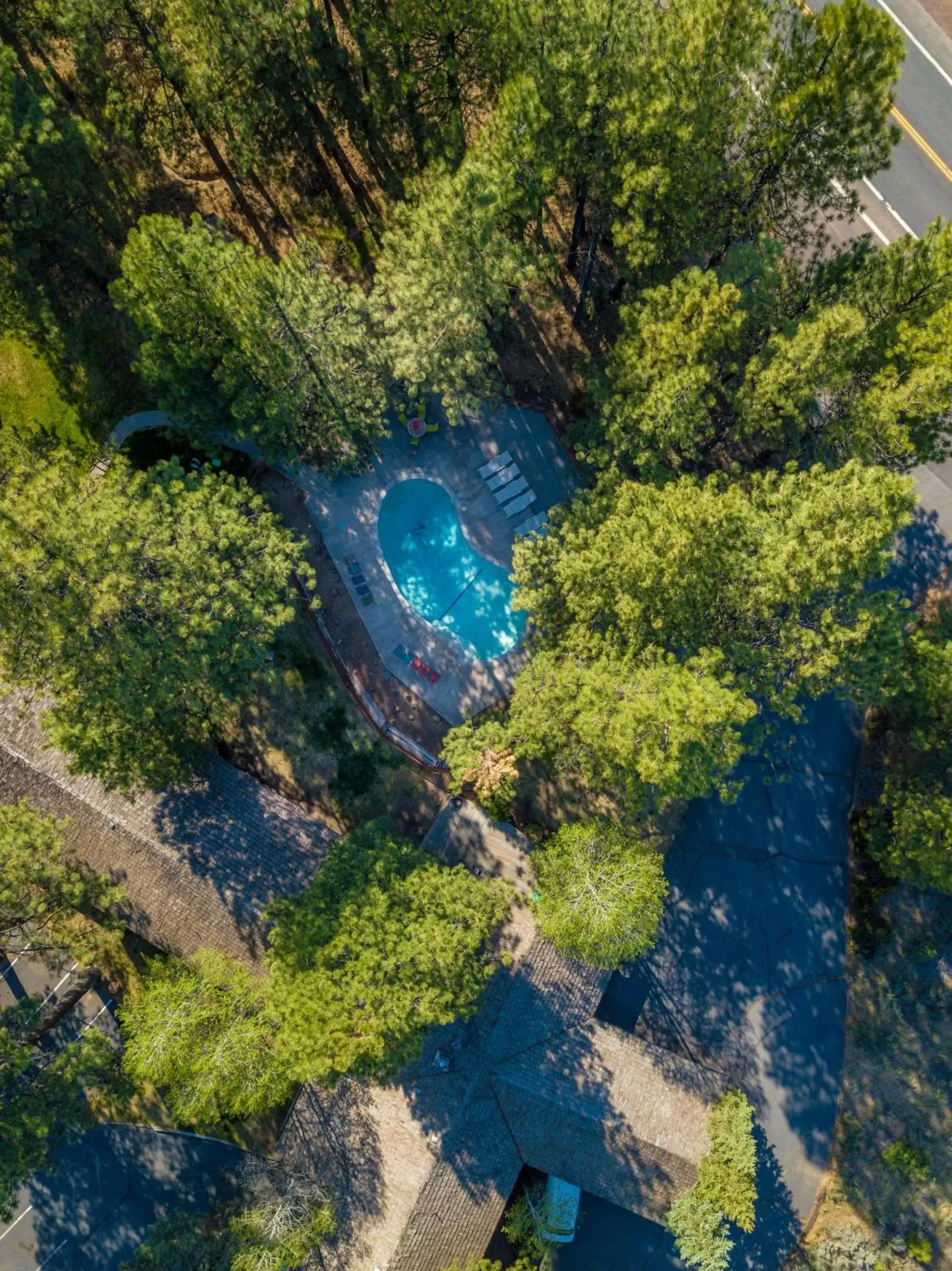 Bird's eye view, Bird's-eye View in LOGE Bend