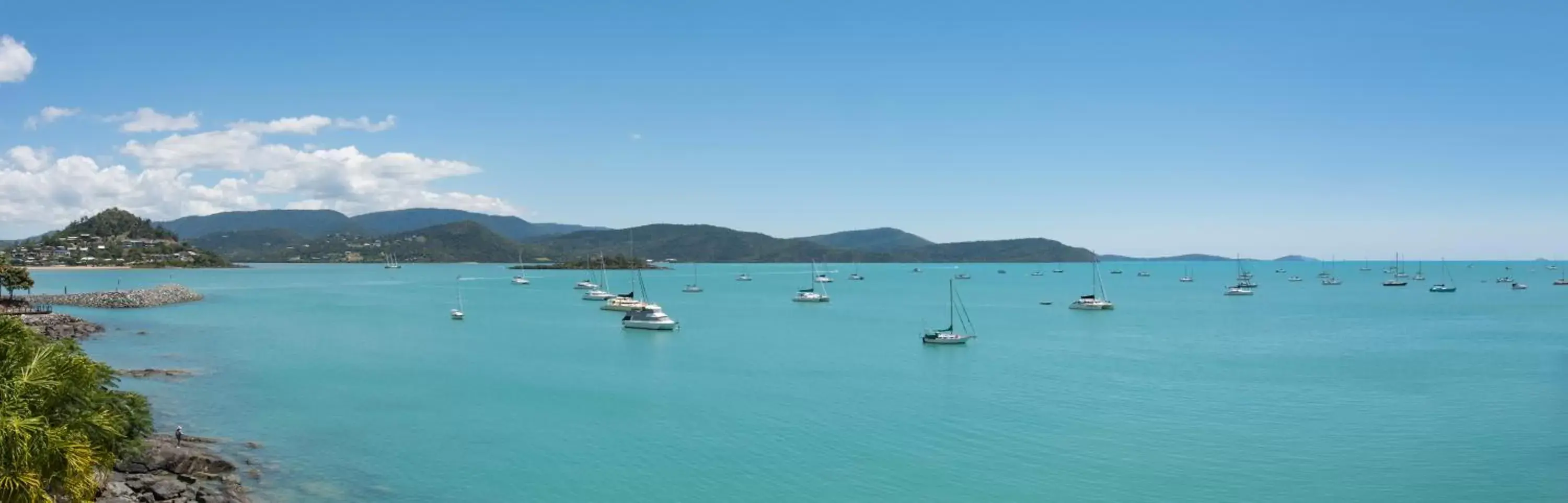 Natural landscape in at Marina Shores