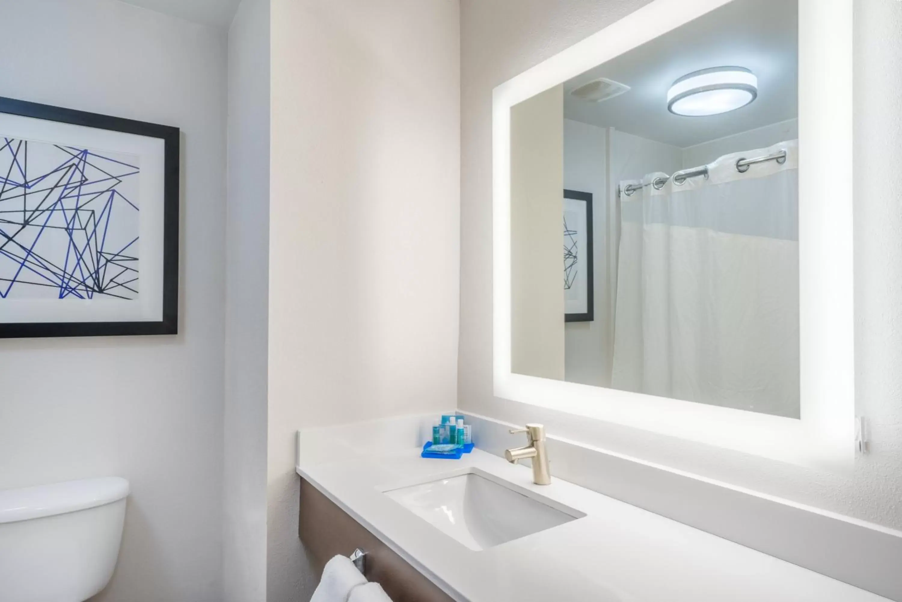 Bathroom in Holiday Inn Express Hotel & Suites Frankfort, an IHG Hotel