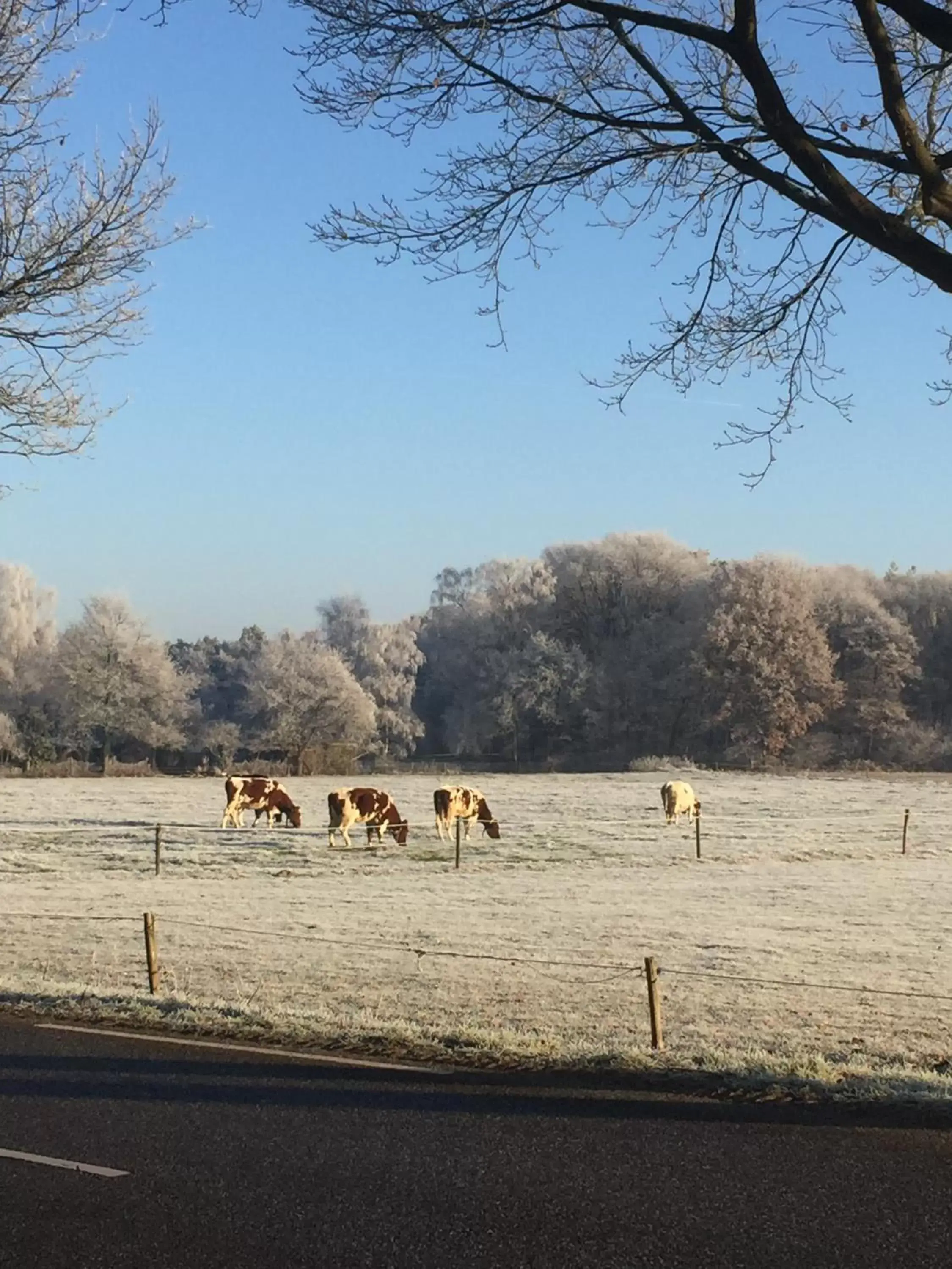 Winter in B&B van Beijden