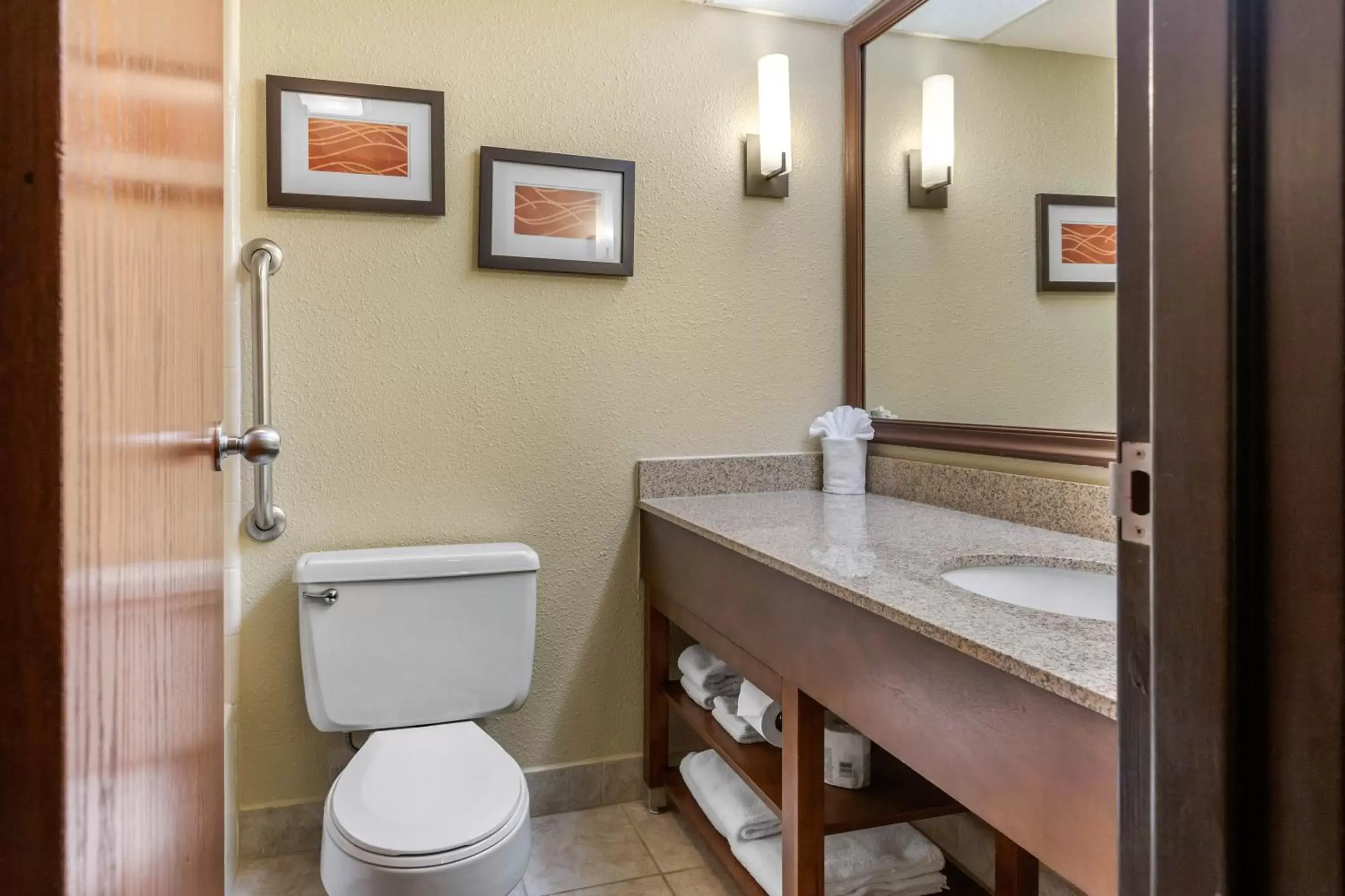 Toilet, Bathroom in Comfort Inn Grand Rapids Airport