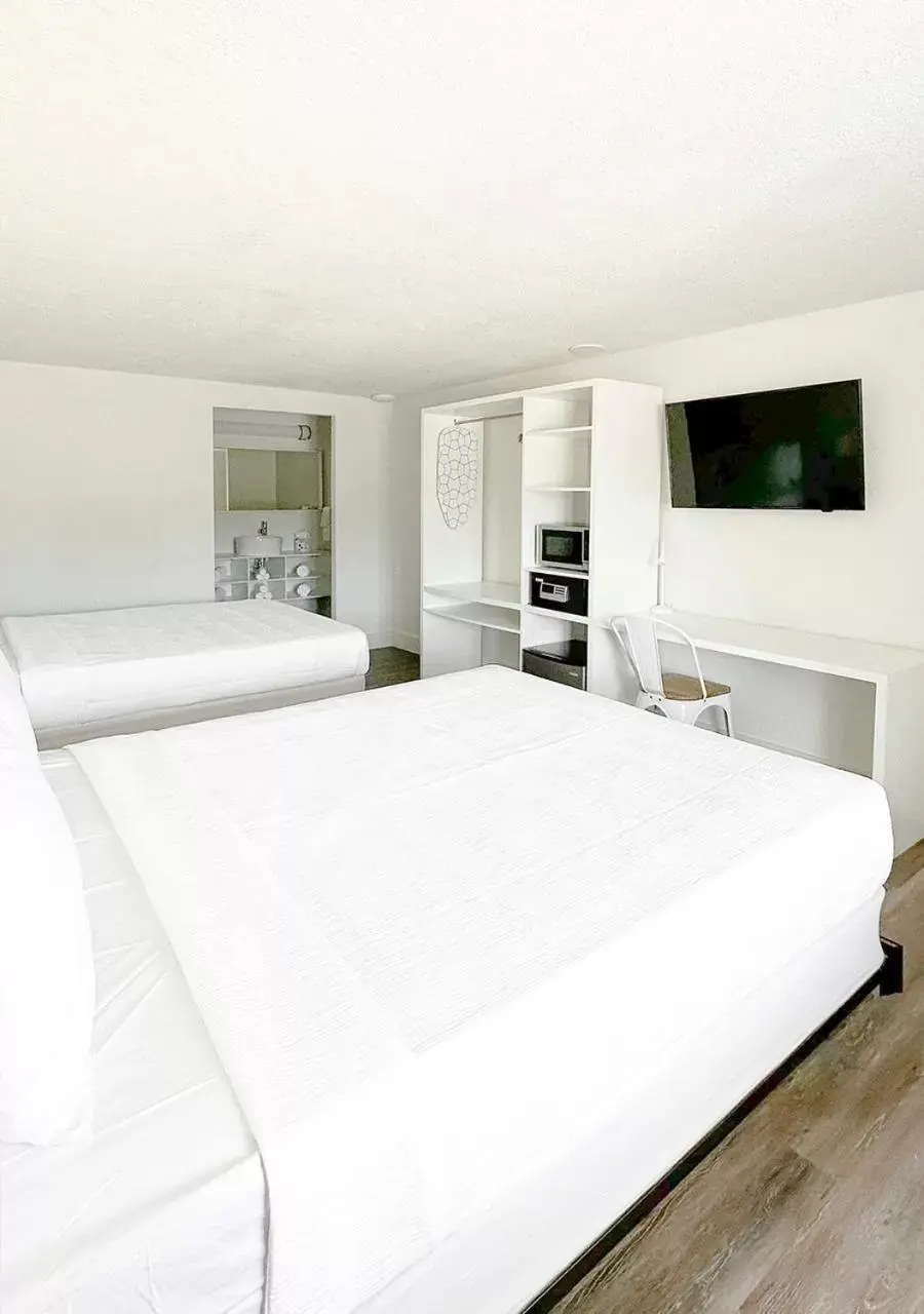 Bed in Oneway Brunswick Bed in Oneway Brunswick