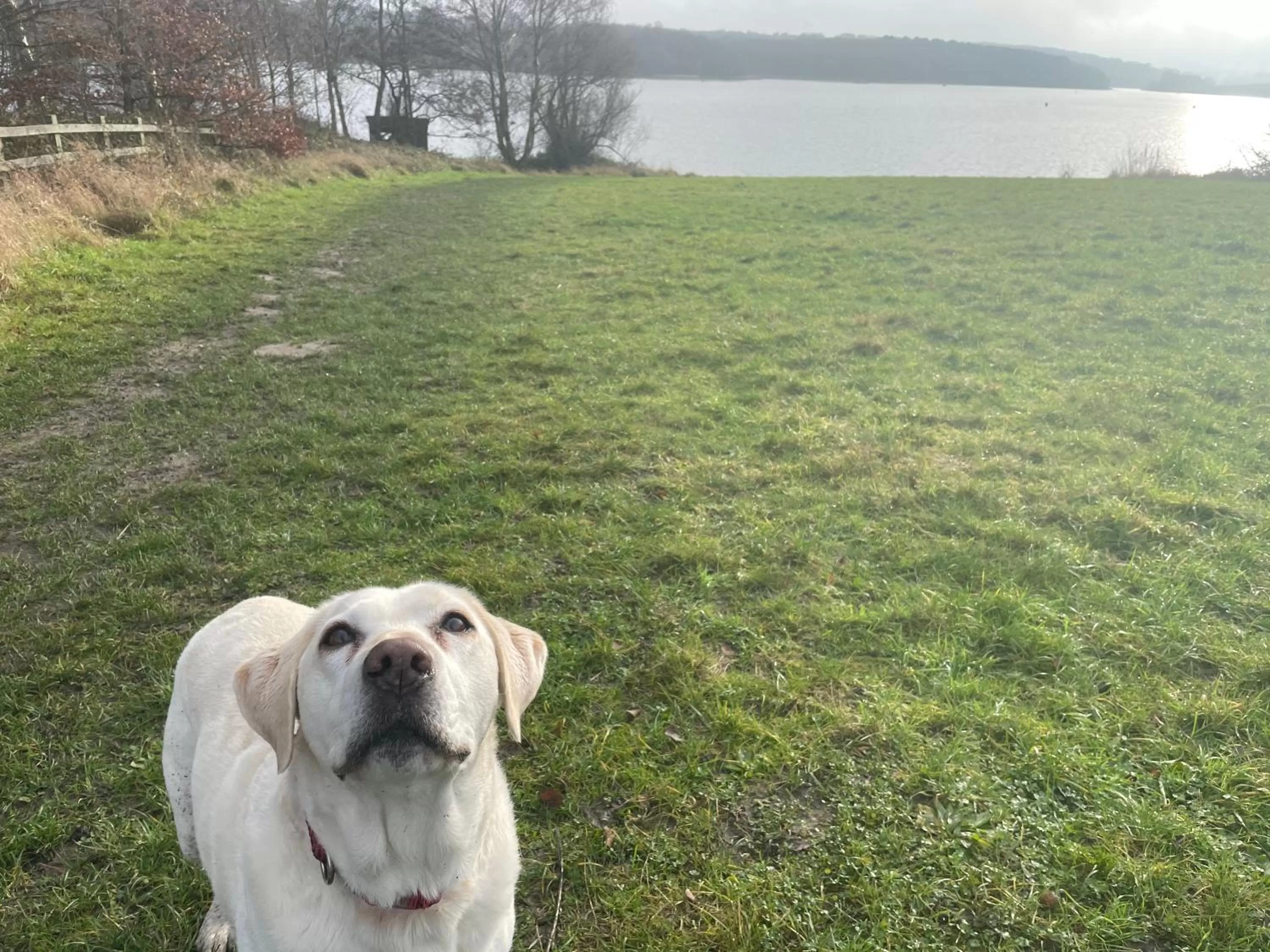 Neighbourhood in Harpur's of Melbourne