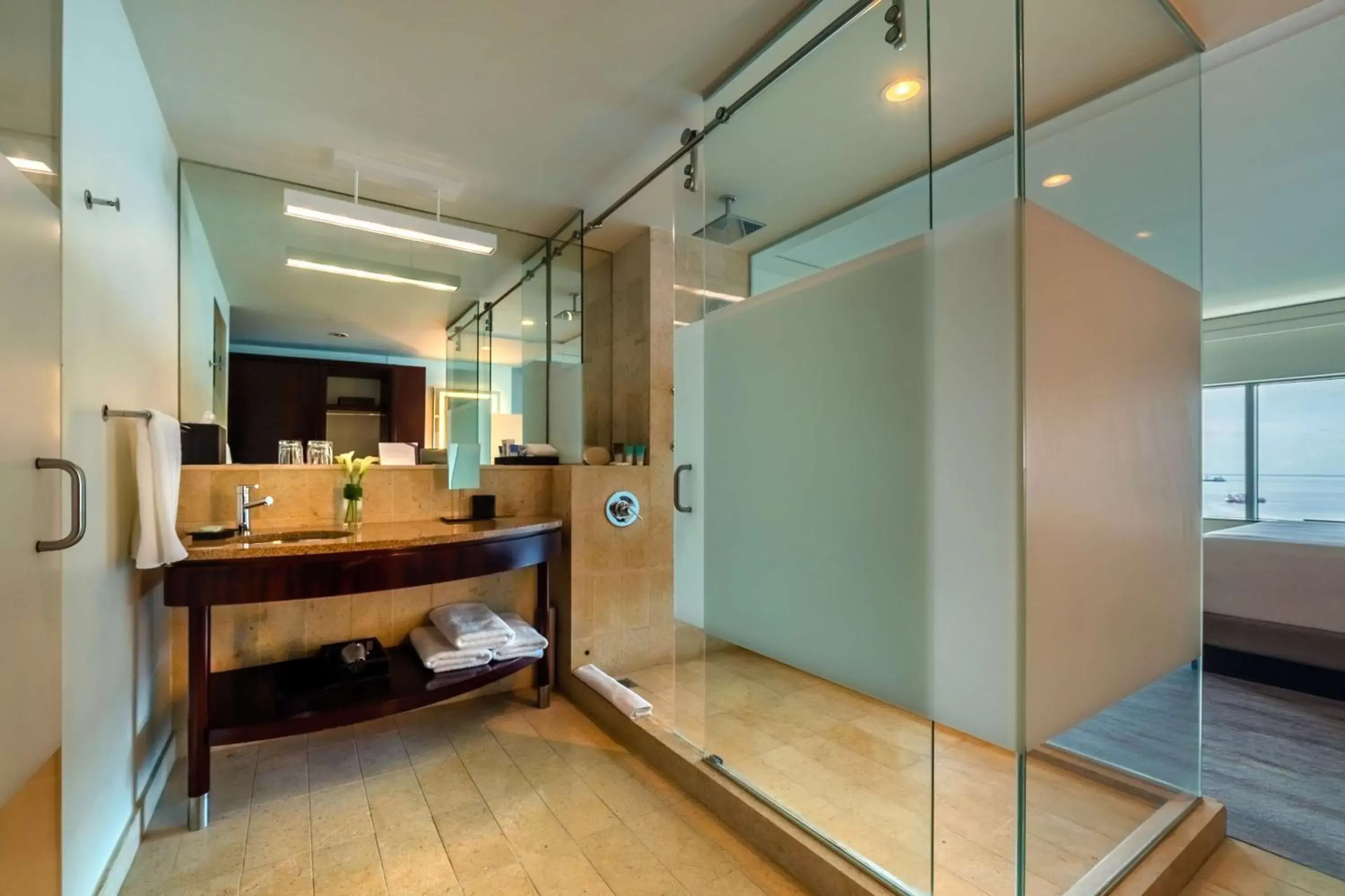 Bathroom in Hyatt Regency Trinidad