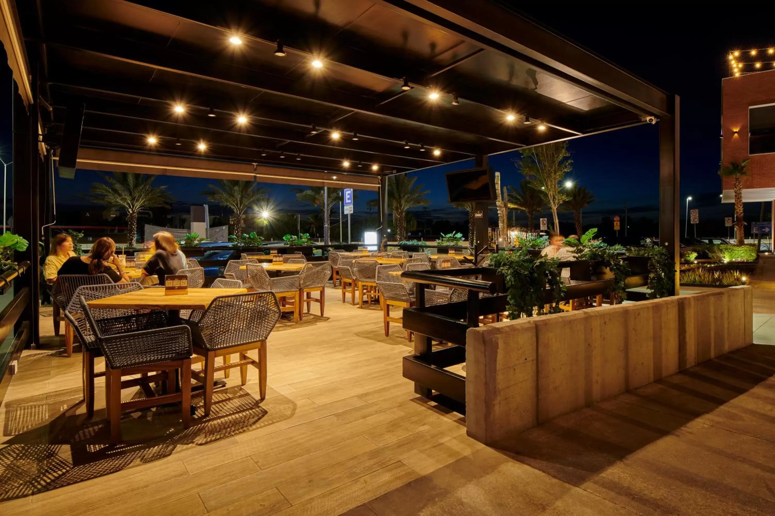 Patio, Restaurant/Places to Eat in Ibis Torreon