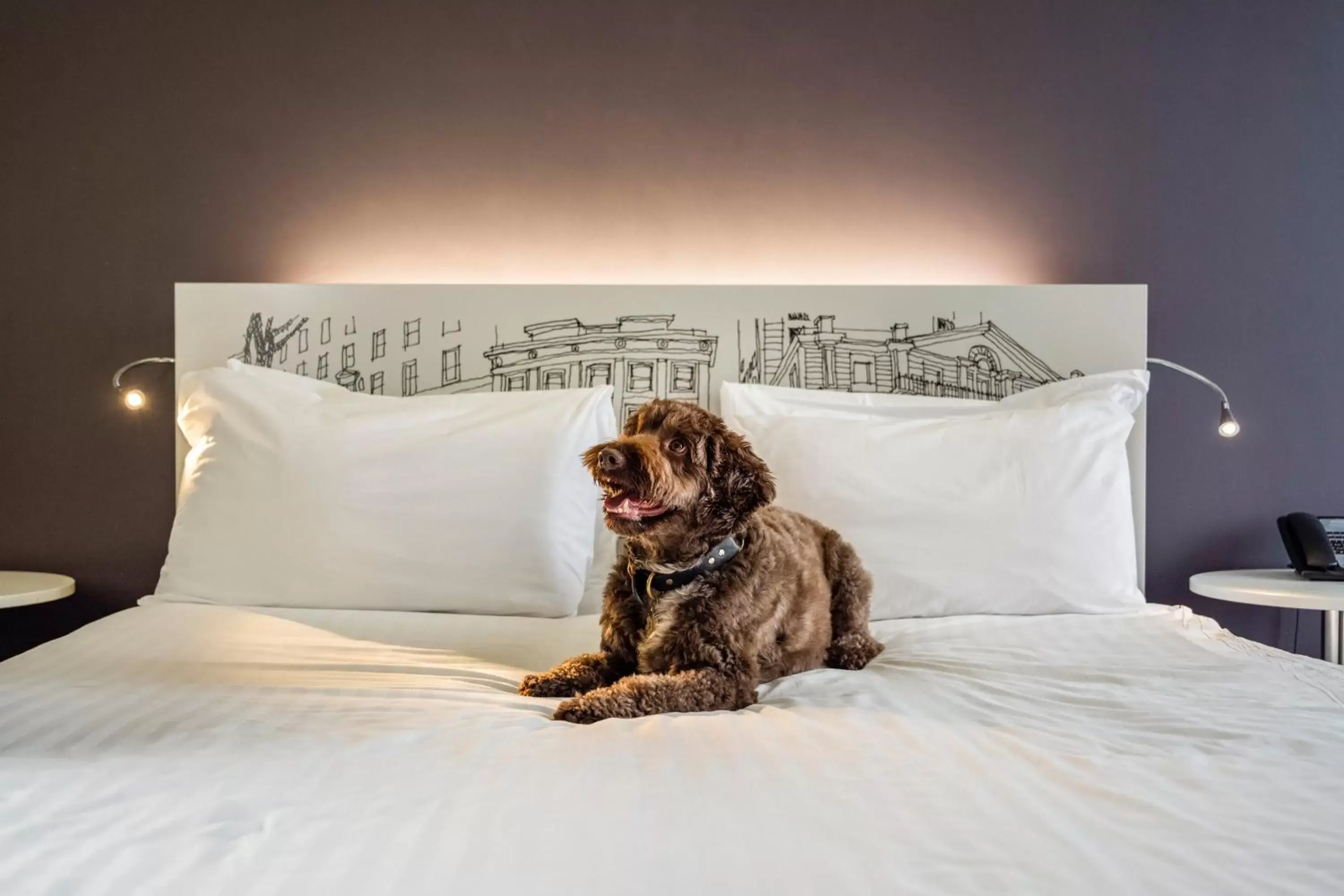 Pets, Bed in INNSiDE by Meliá Manchester