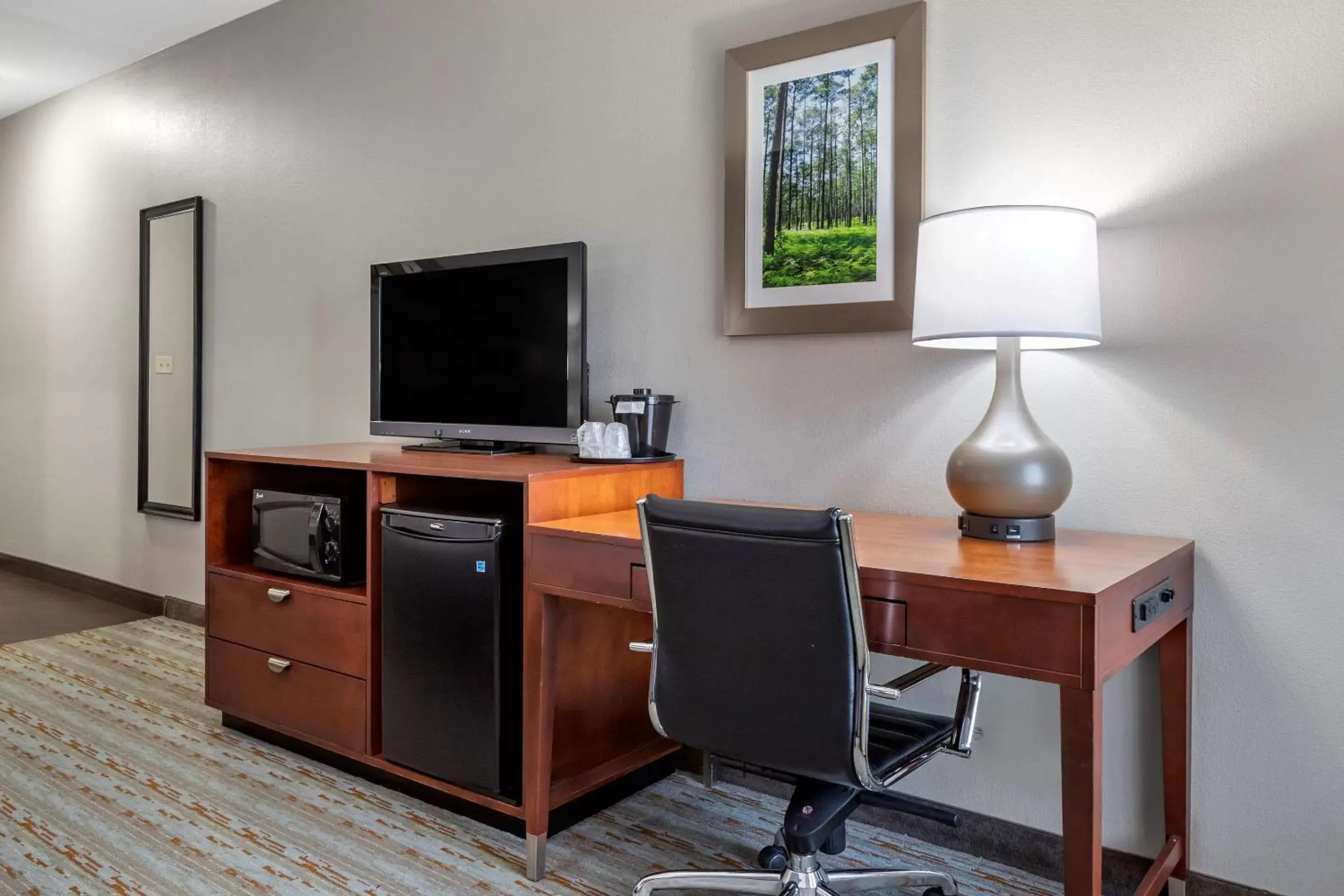 Photo of the whole room, TV/Entertainment Center in Comfort Inn & Suites