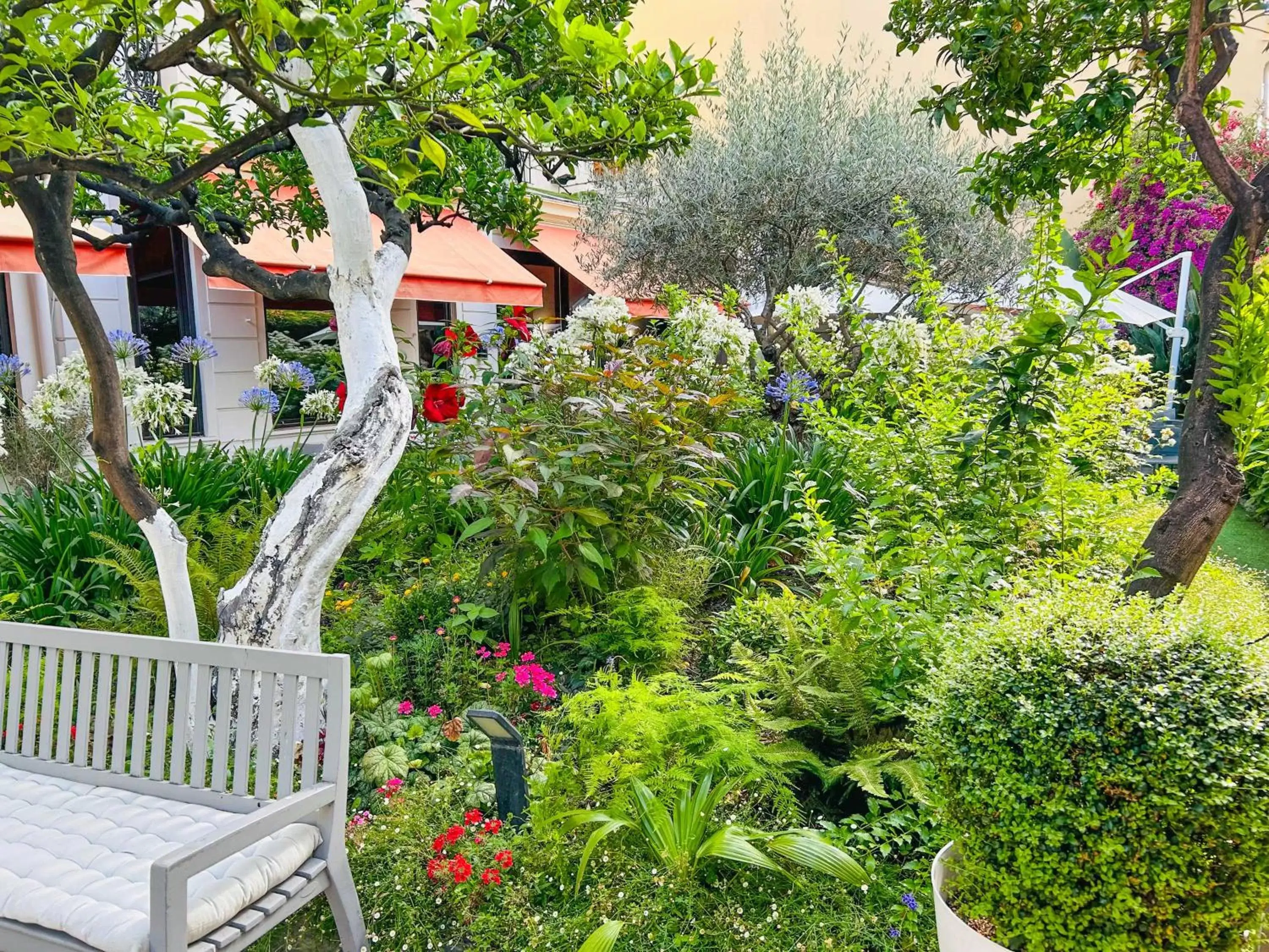 Garden in Best Western Plus Hôtel Brice Garden Nice