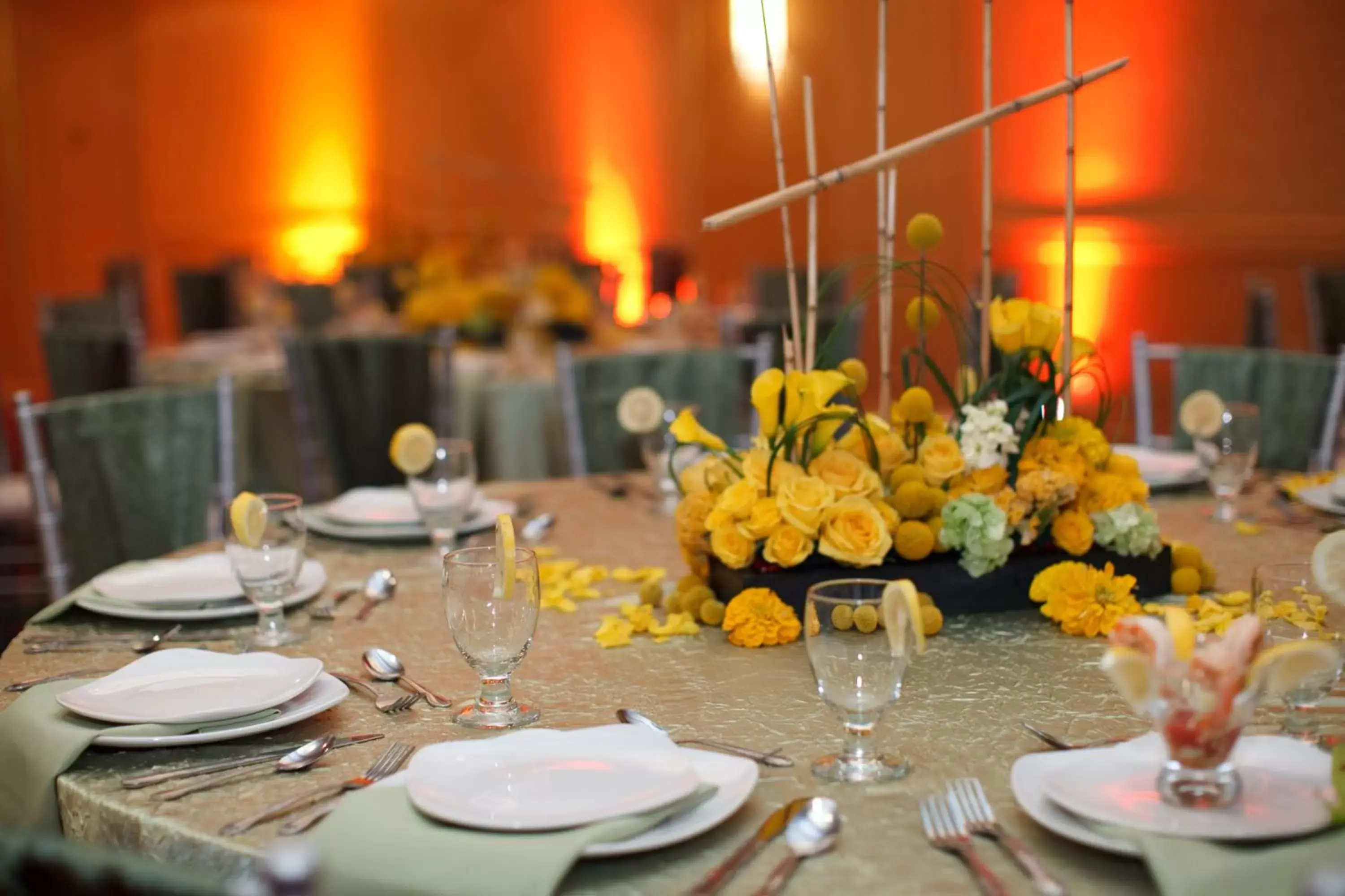 Banquet/Function facilities in Hotel Capstone Banquet/Function facilities in Hotel Capstone