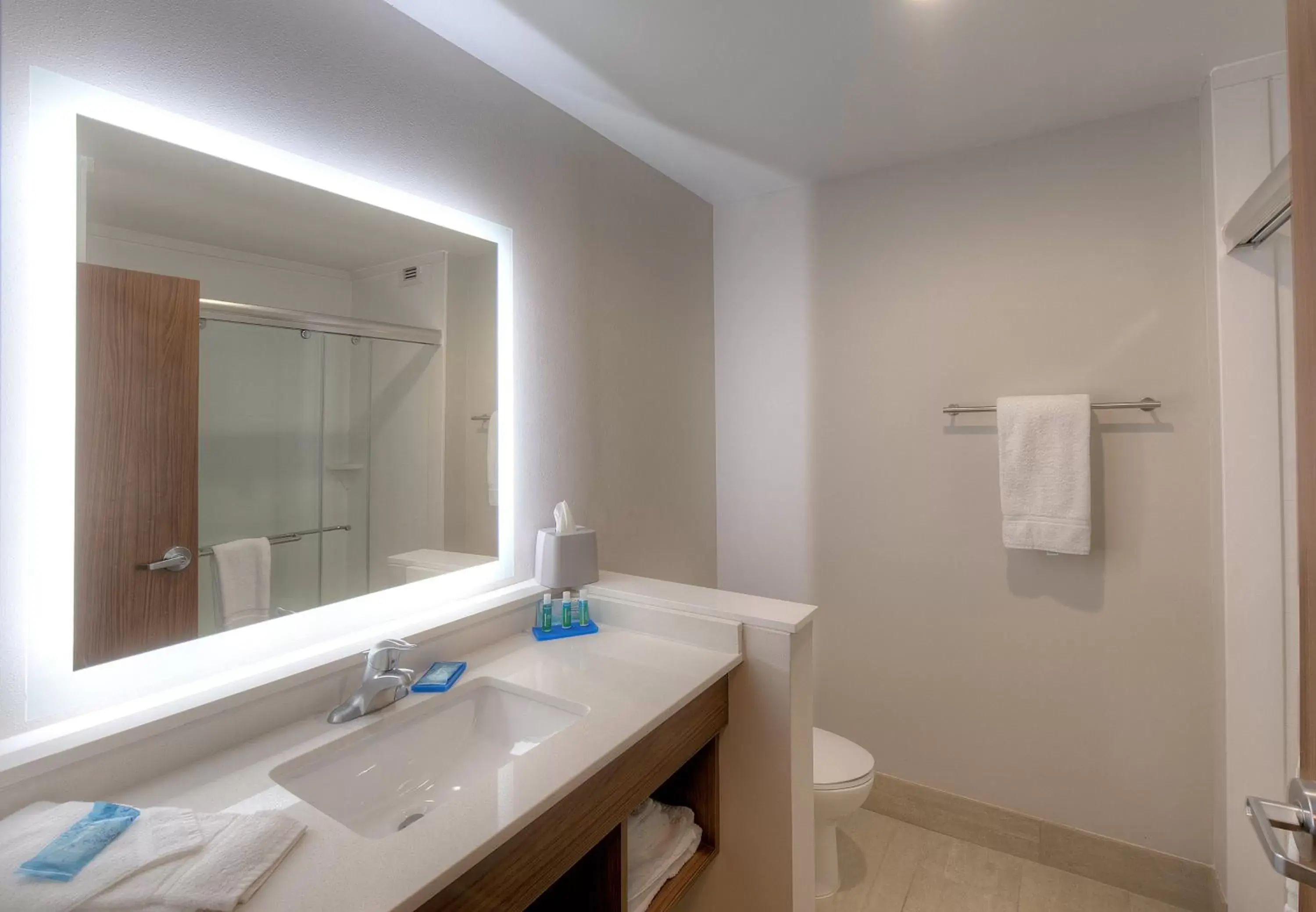 Bathroom in Holiday Inn Express & Suites - Fort Mill, an IHG Hotel