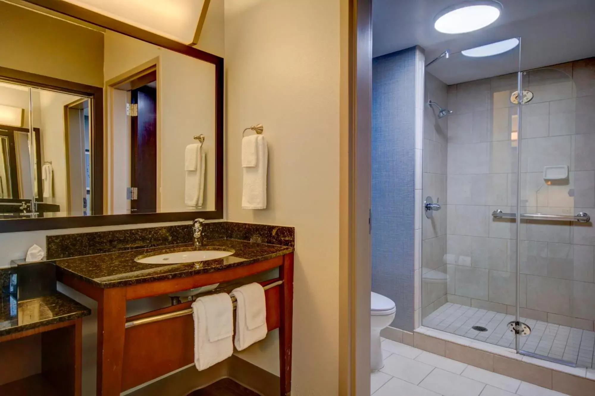 Bathroom in Hyatt Place Grand Rapids South