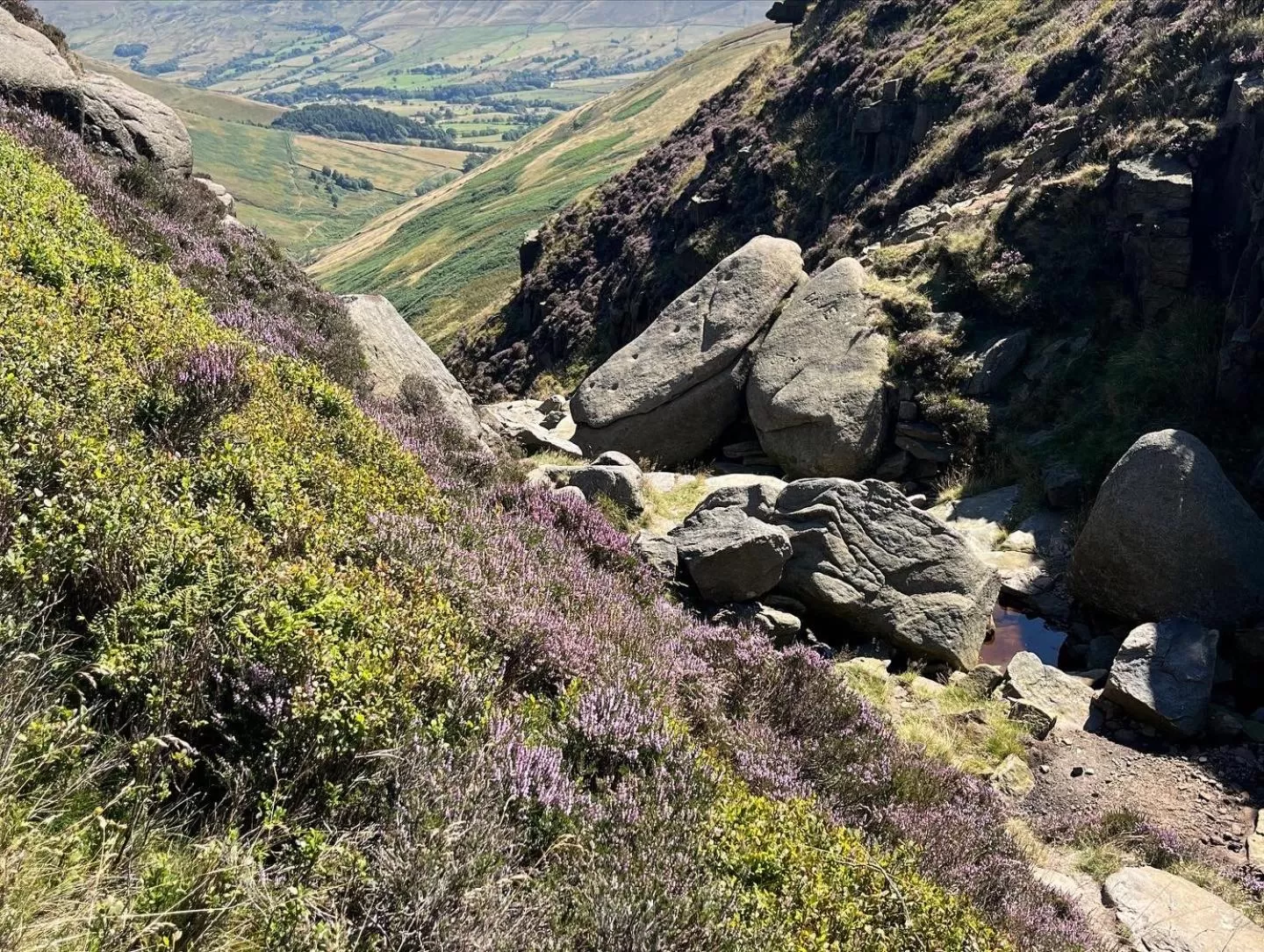 Natural Landscape in The Old Station House