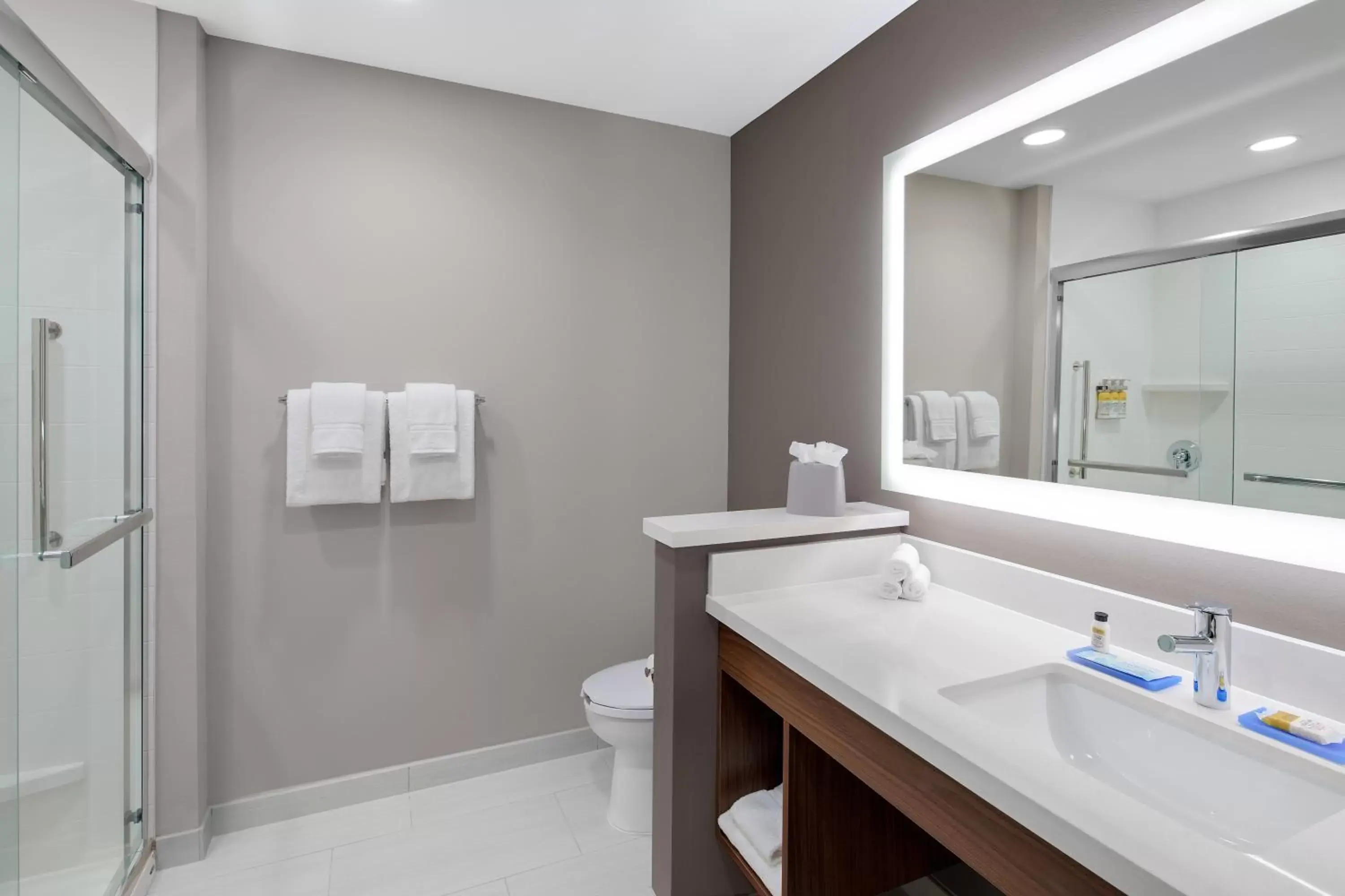Bathroom in Holiday Inn Express & Suites Lubbock Central - Univ Area, an IHG Hotel