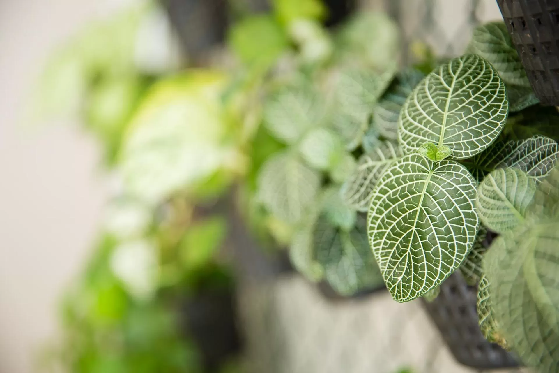 Other in Best Western El Dorado Panama Hotel