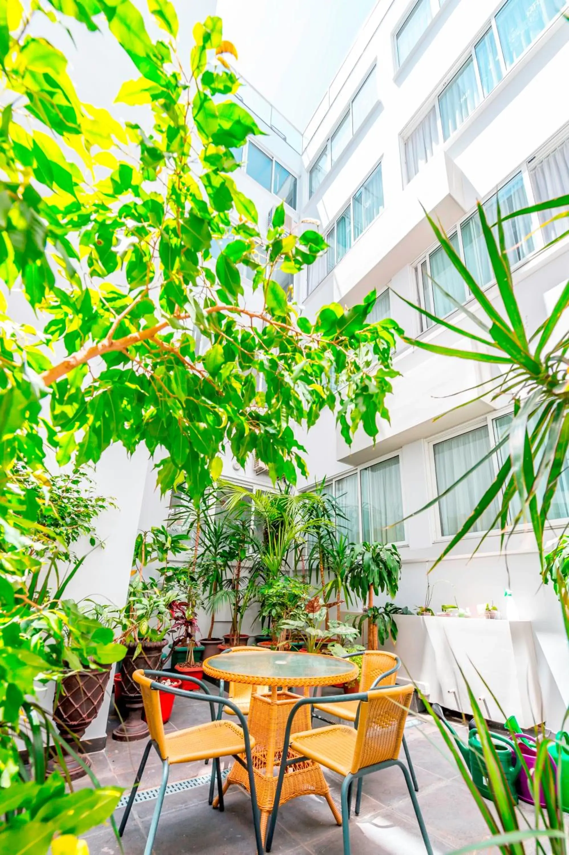 Patio in Hotel Madeira