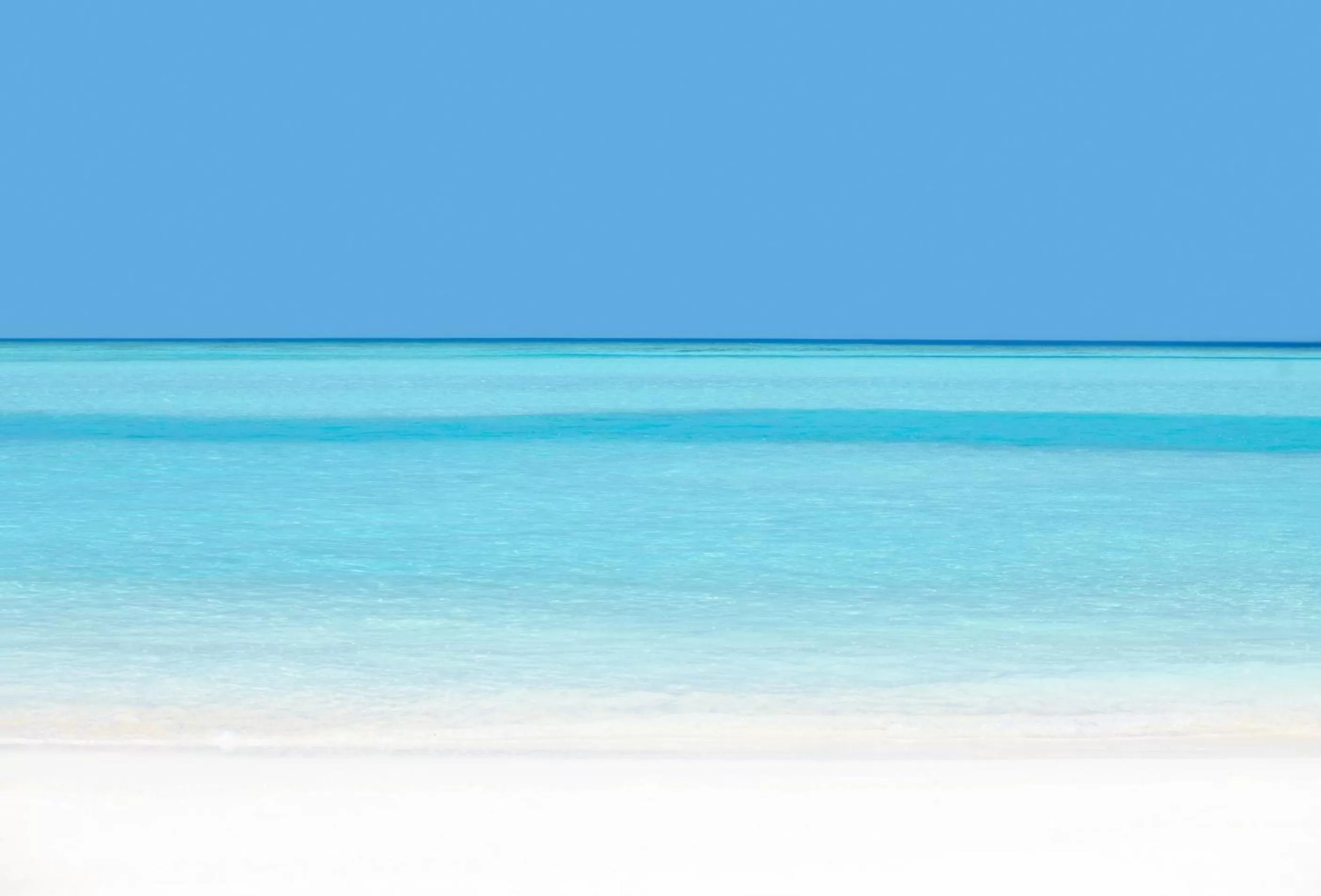 Beach in Costa d&#x27;Este Beach Resort &amp; Spa