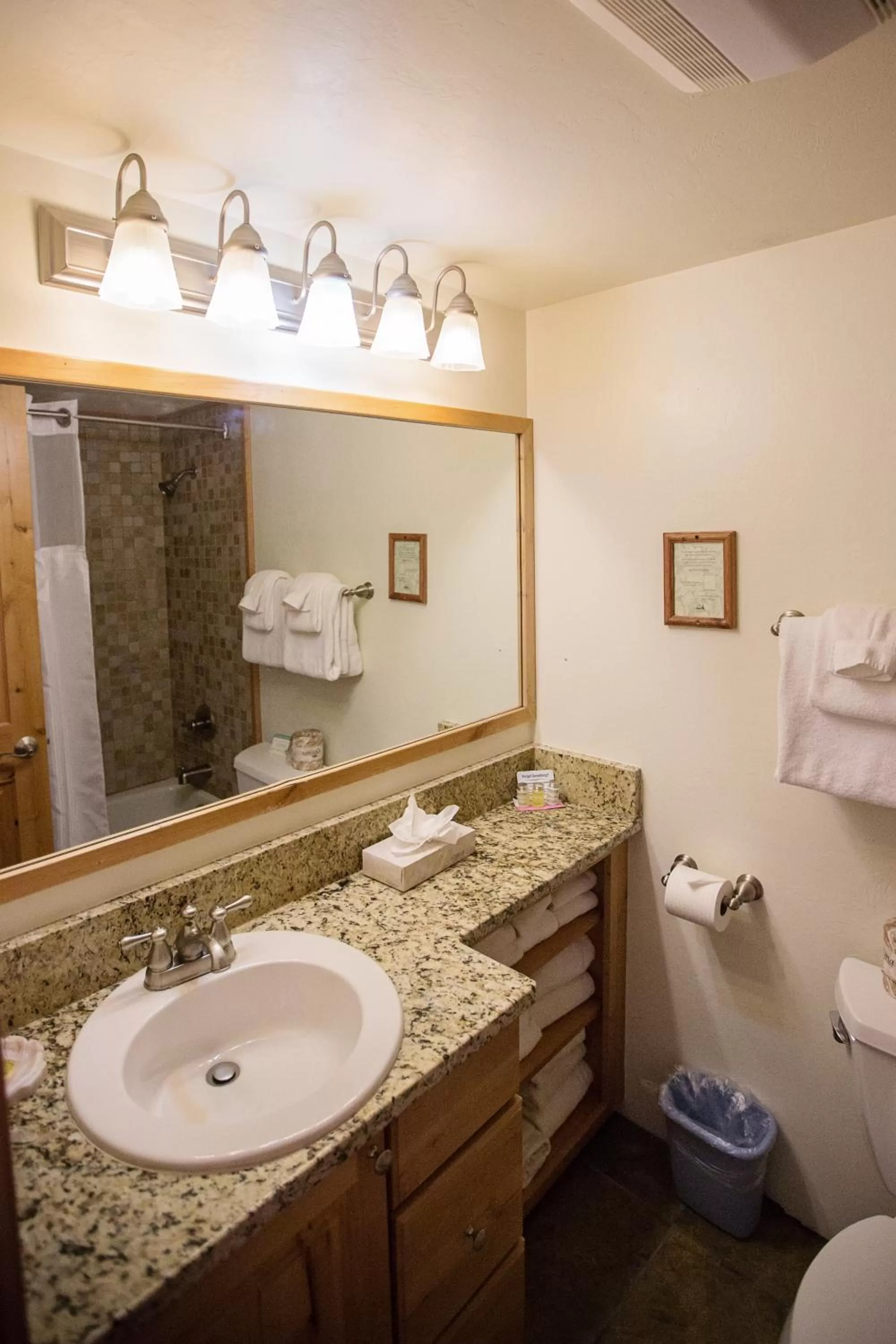 Bathroom in Twin Peaks Lodge & Hot Springs