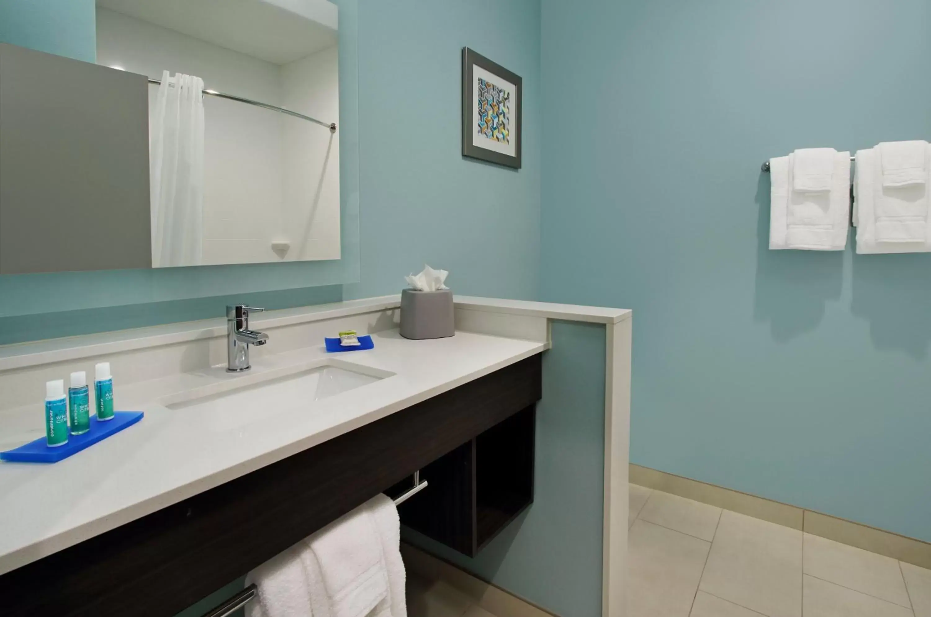 Bathroom in Holiday Inn Express & Suites - Lake Charles South Casino Area, an IHG Hotel