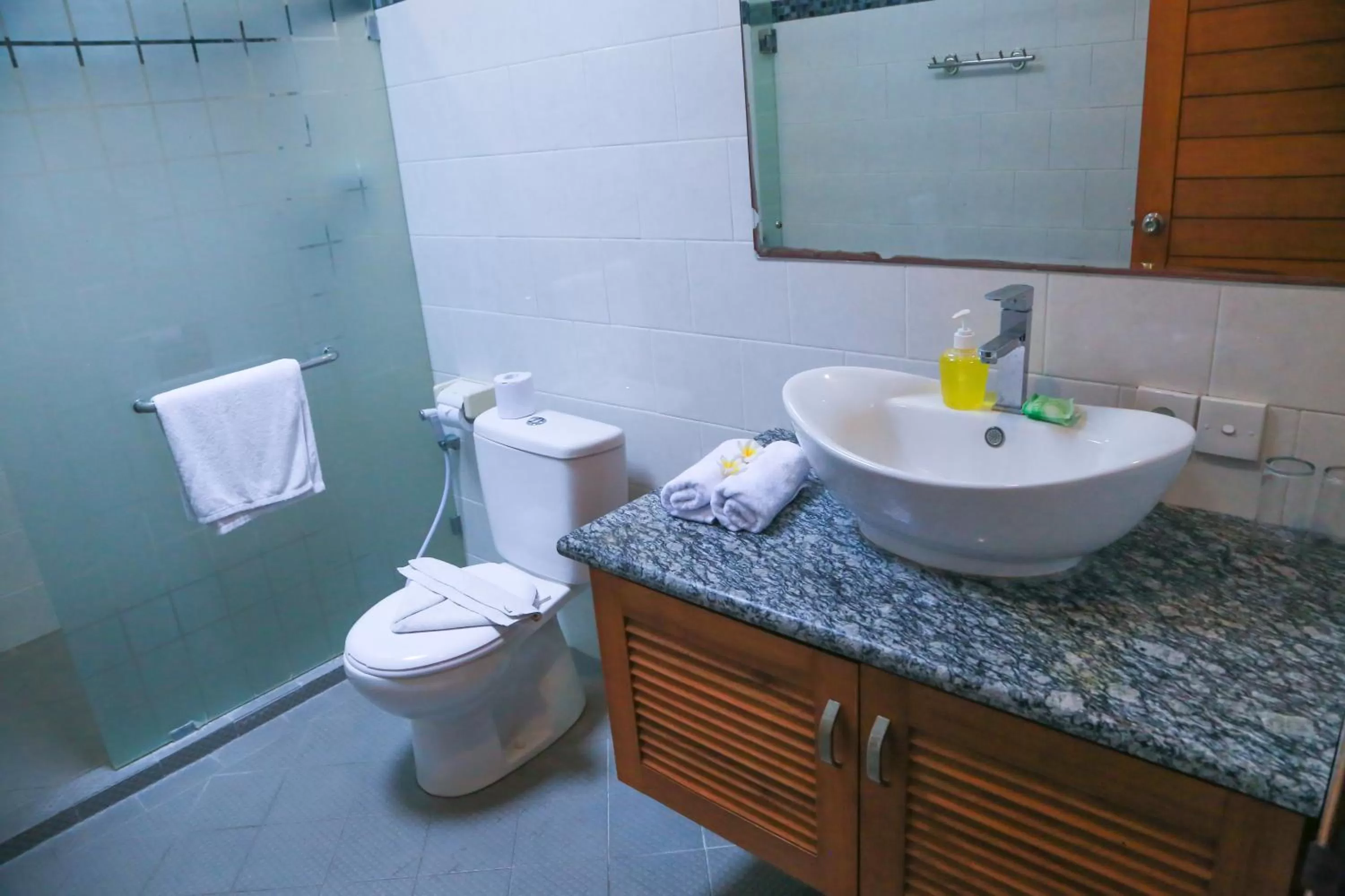 Toilet in Aquarius Beach Hotel