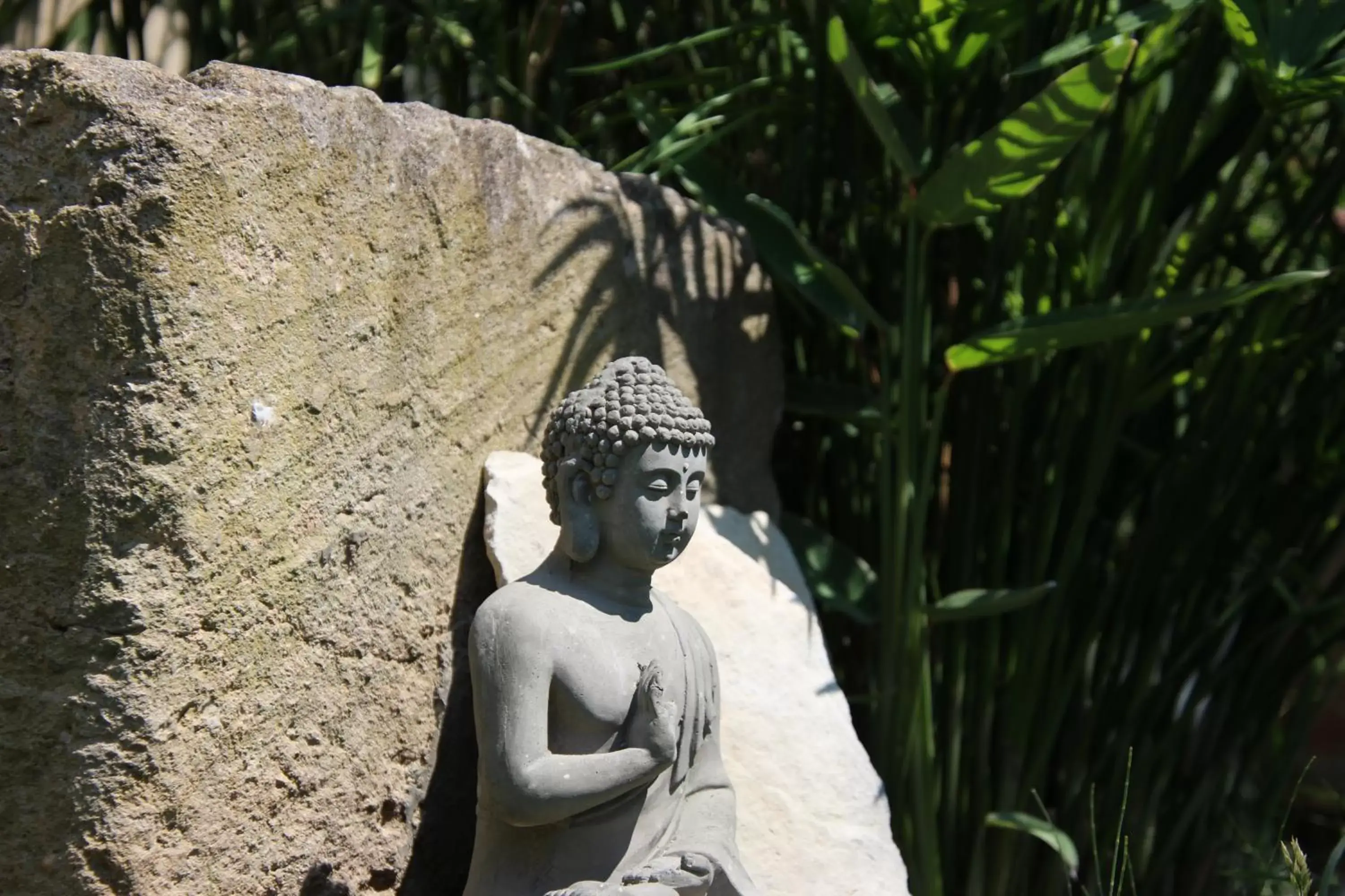 Garden in LE MAS COTHY en Provence