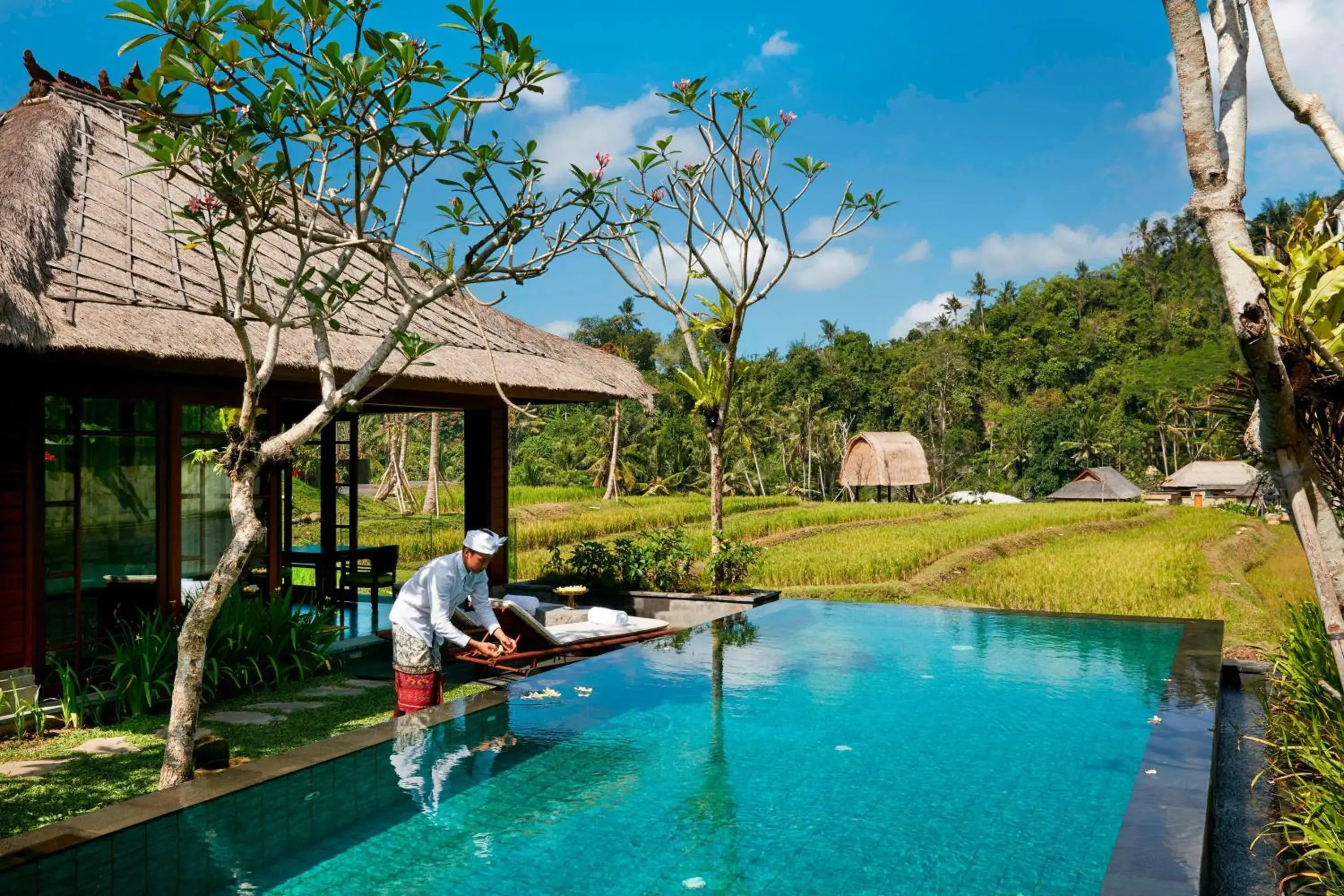 Swimming Pool in Mandapa A Ritz-Carlton Reserve