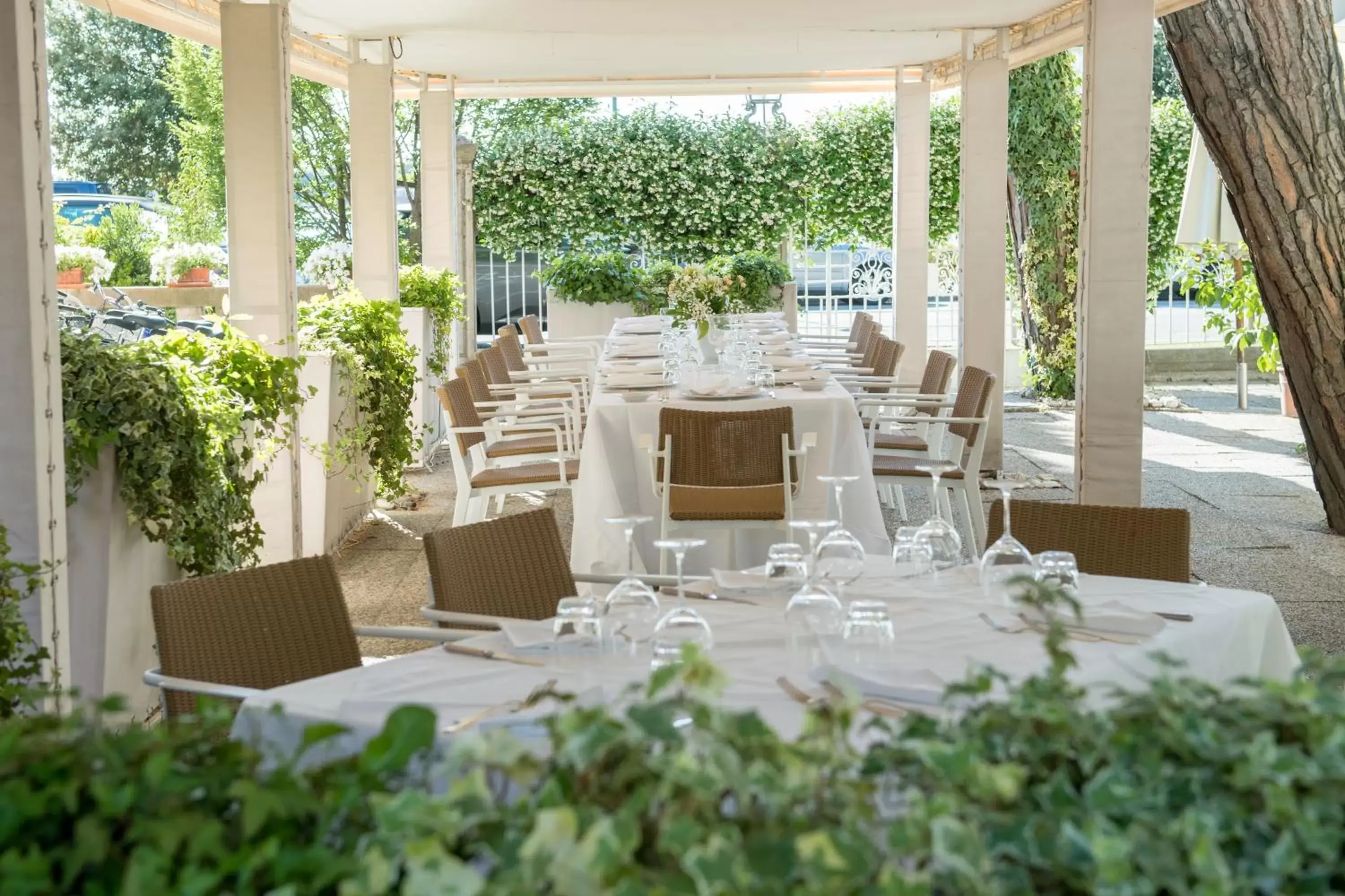 Garden, Restaurant/Places to Eat in Hotel Villa Mabapa