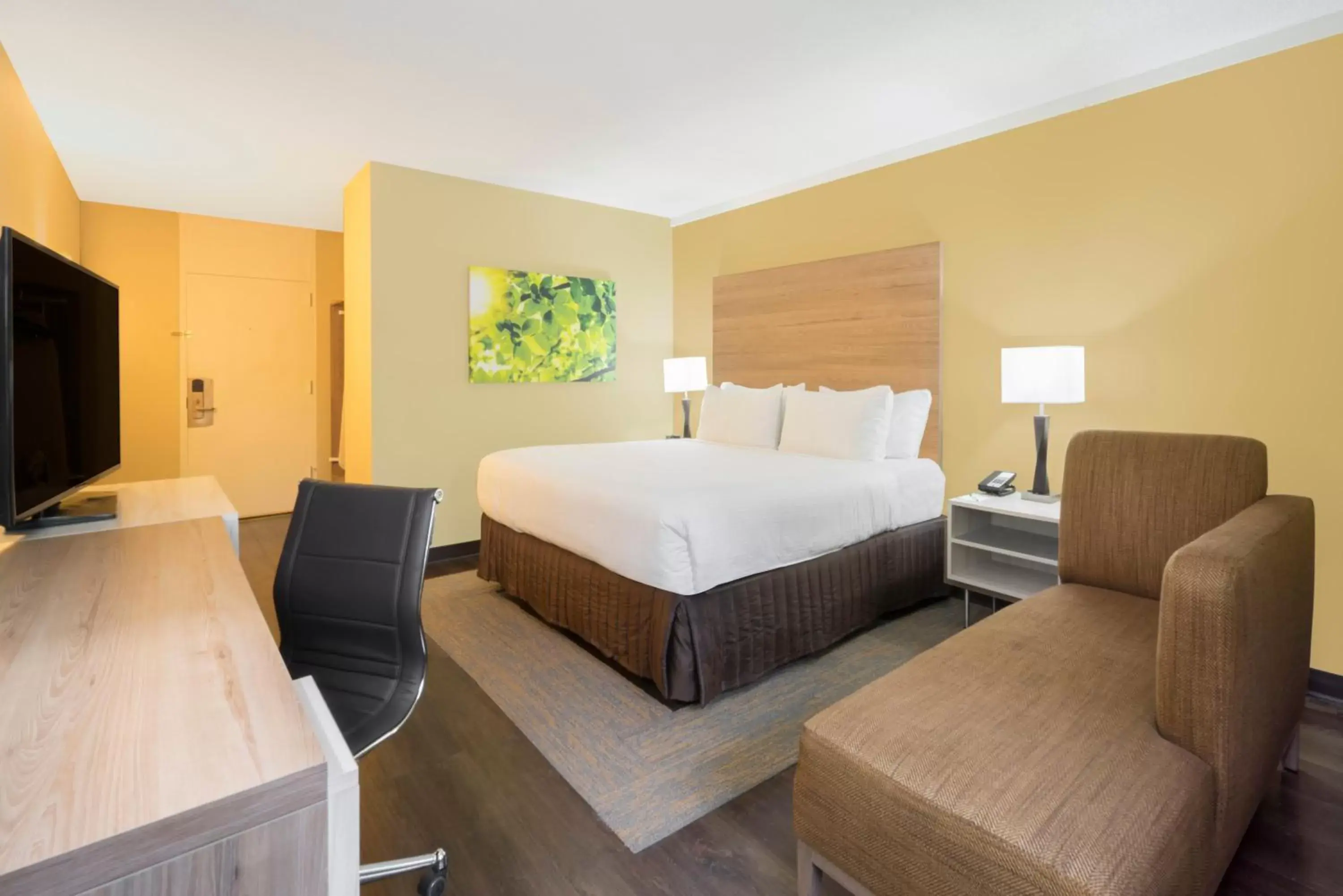 TV and multimedia, Bed in Wyndham Garden Washington DC North