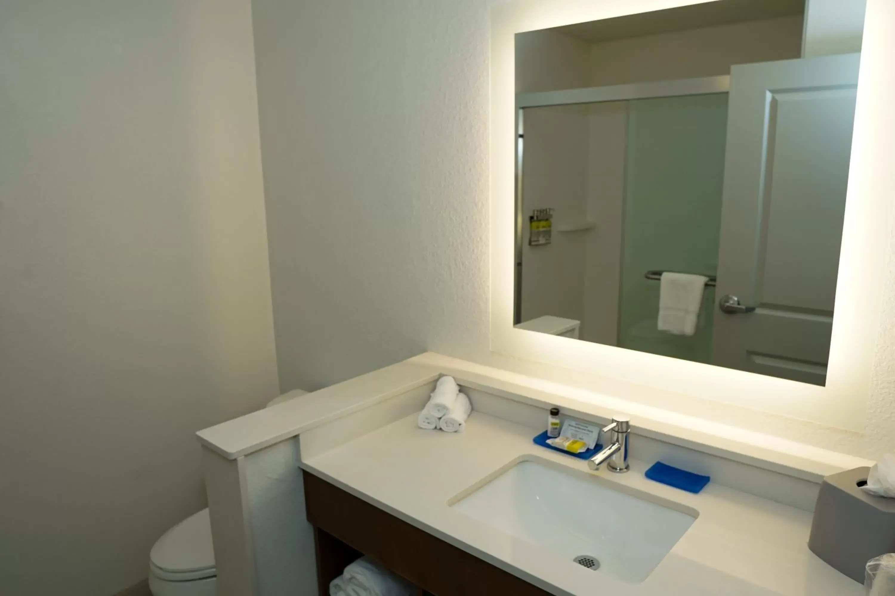 Bathroom in Holiday Inn Express & Suites - Aurora Medical Campus, an IHG Hotel