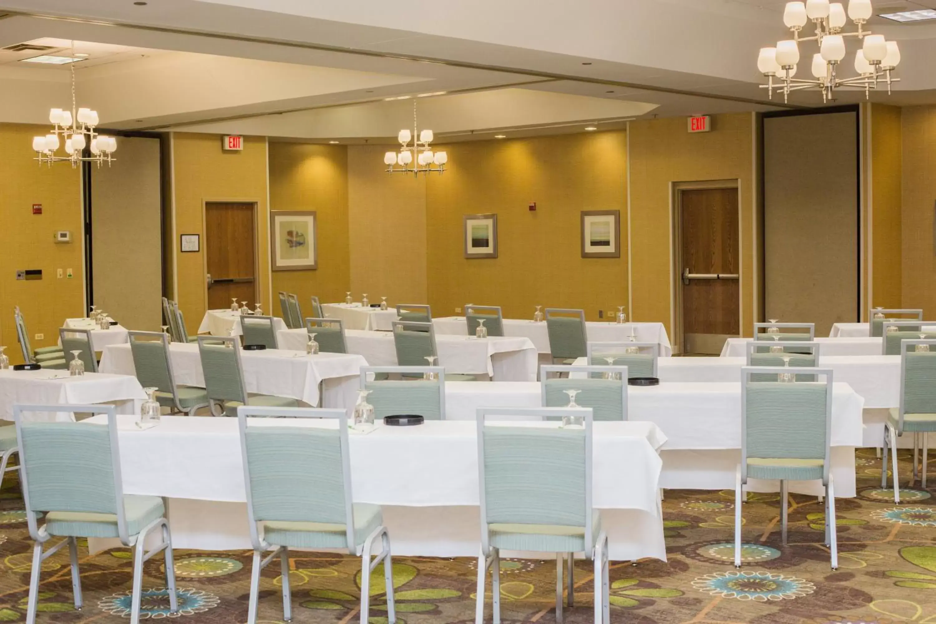 Meeting/conference room in Holiday Inn Hotel & Suites Bolingbrook, an IHG Hotel