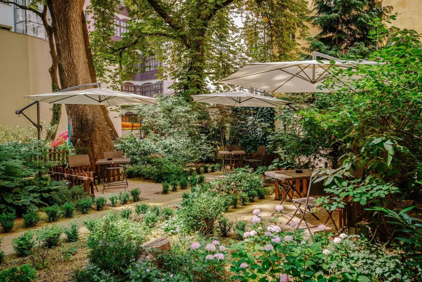 Garden in Hotel NOIR