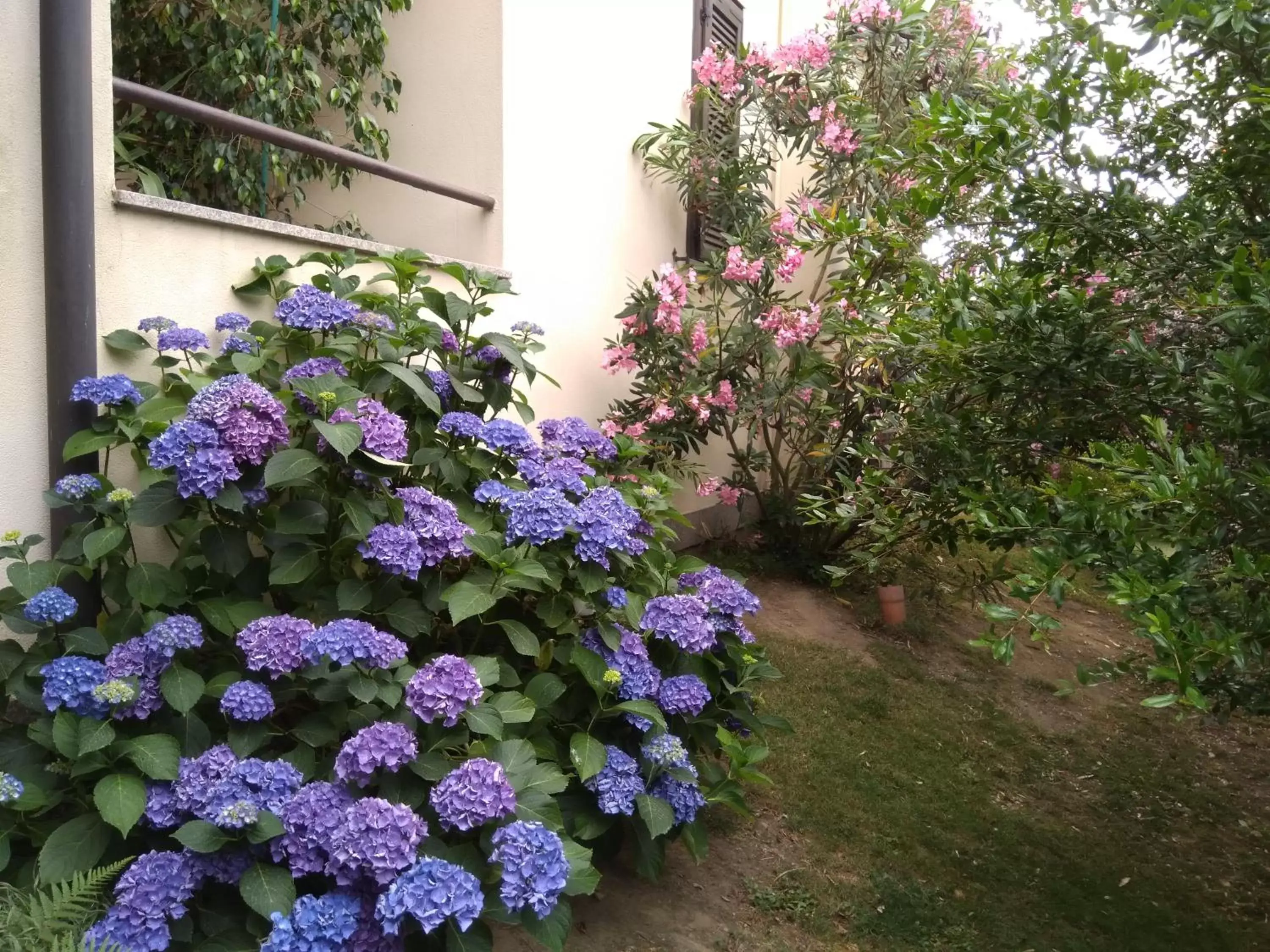 Patio, Garden in B&B Il Glicine di Basiglio