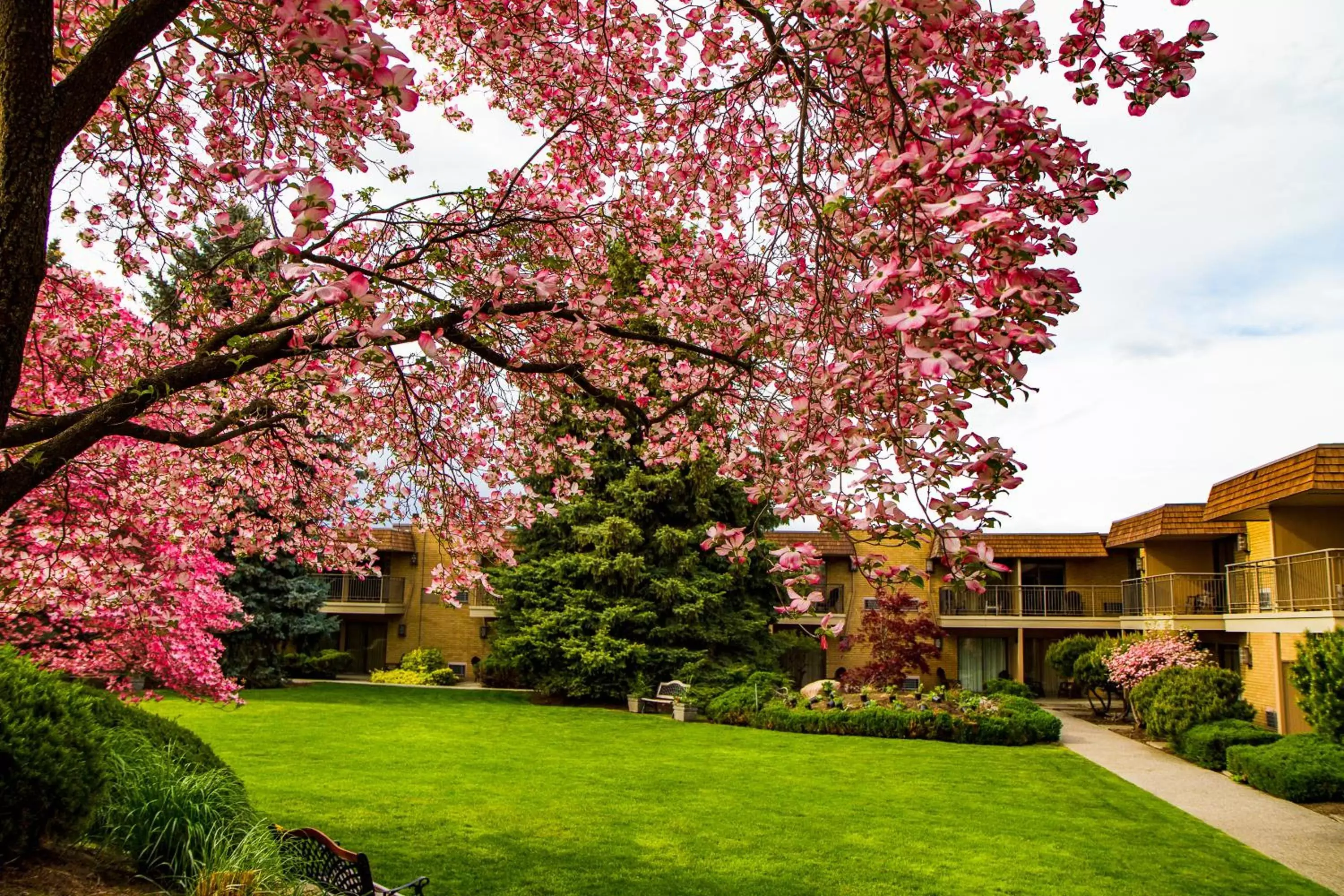 Garden in Mirabeau Park Hotel