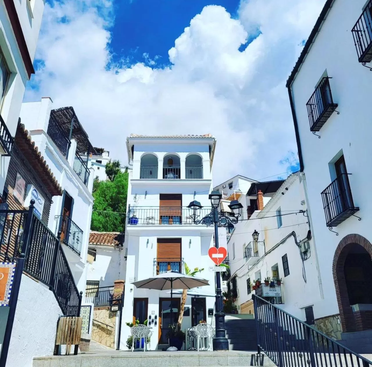 Olive & Ivy Guesthouse